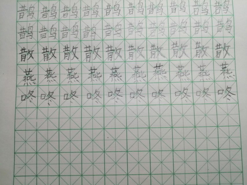 图像