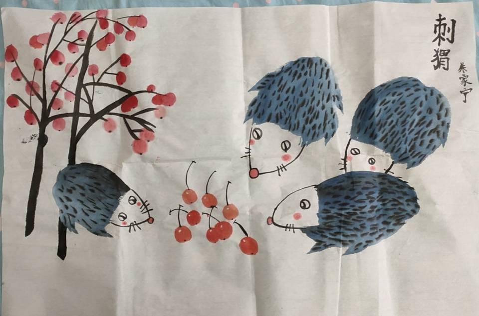 图像