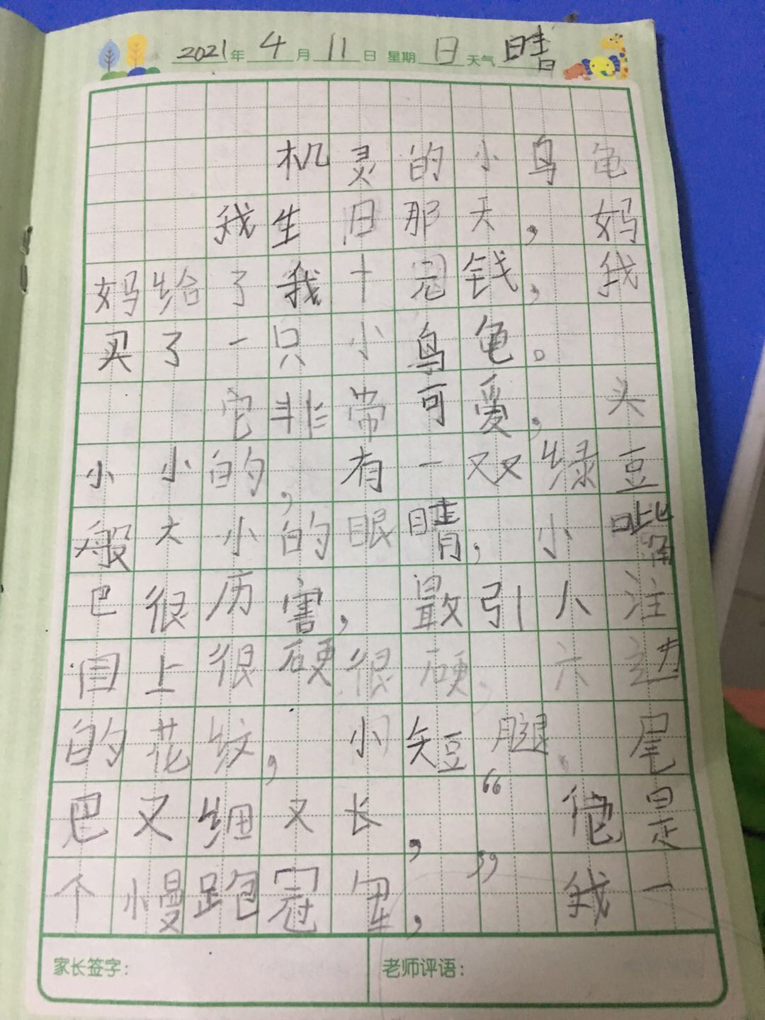 图像
