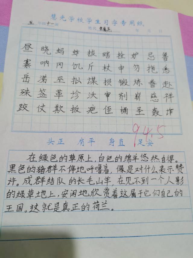 图像
