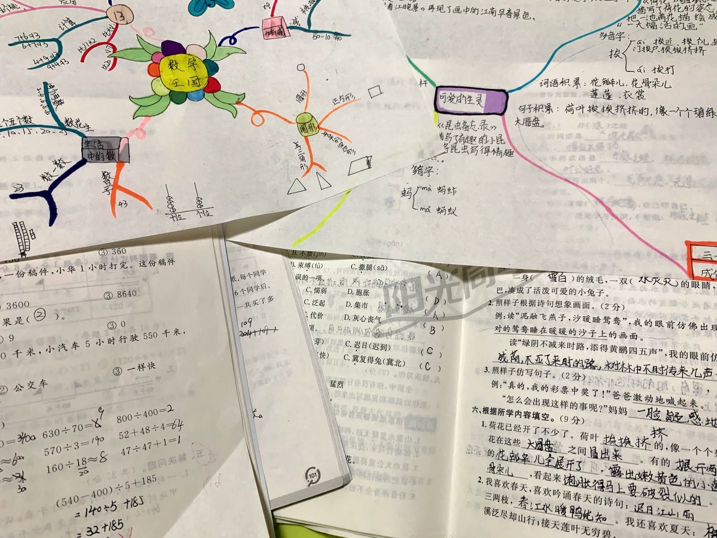 图像