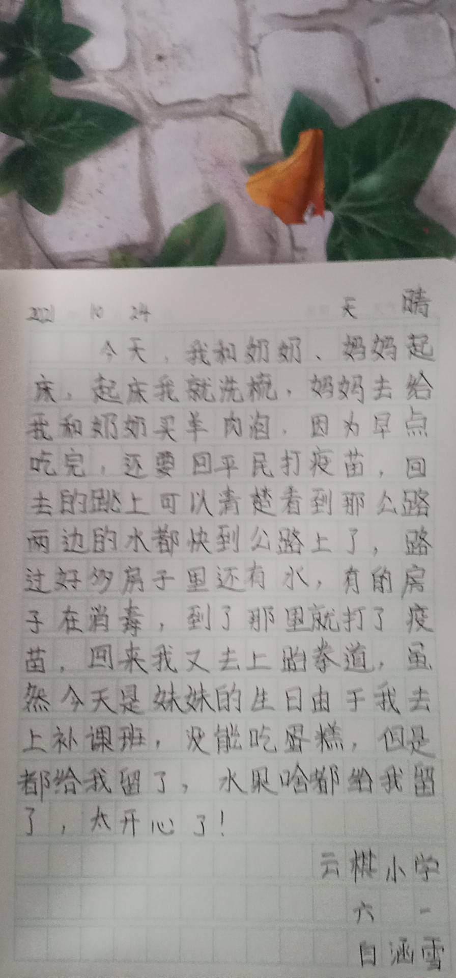 图像