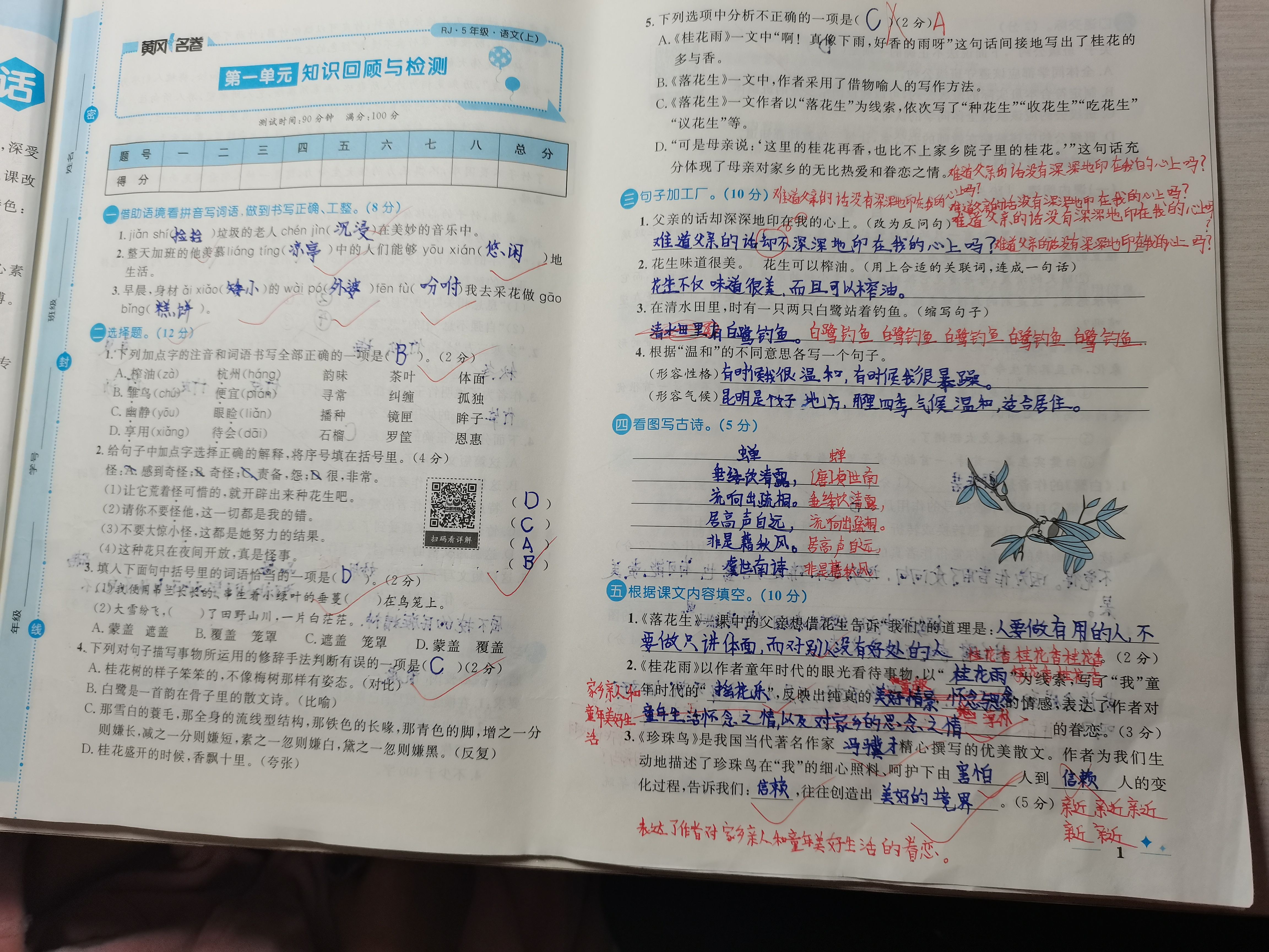 图像