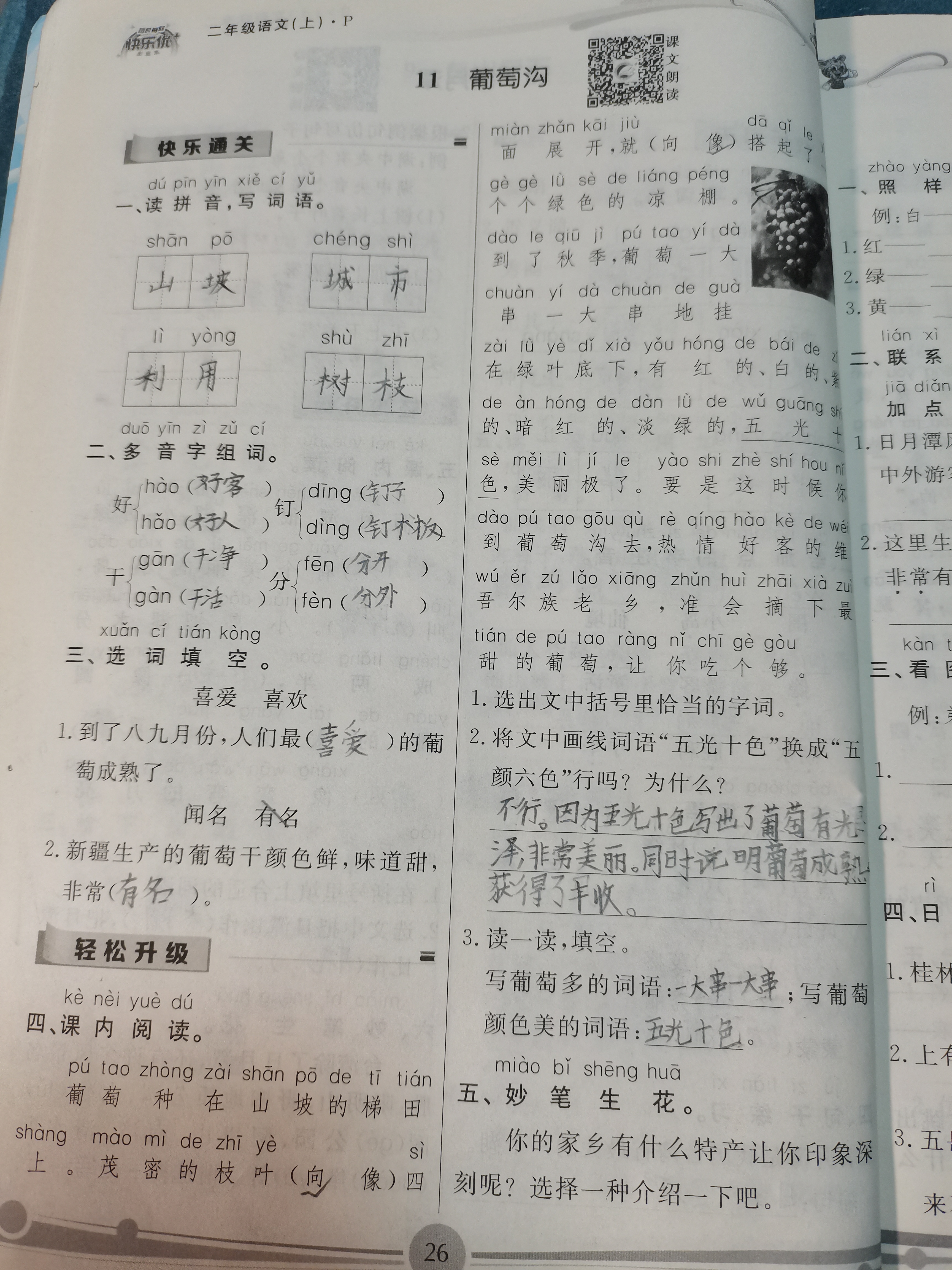图像