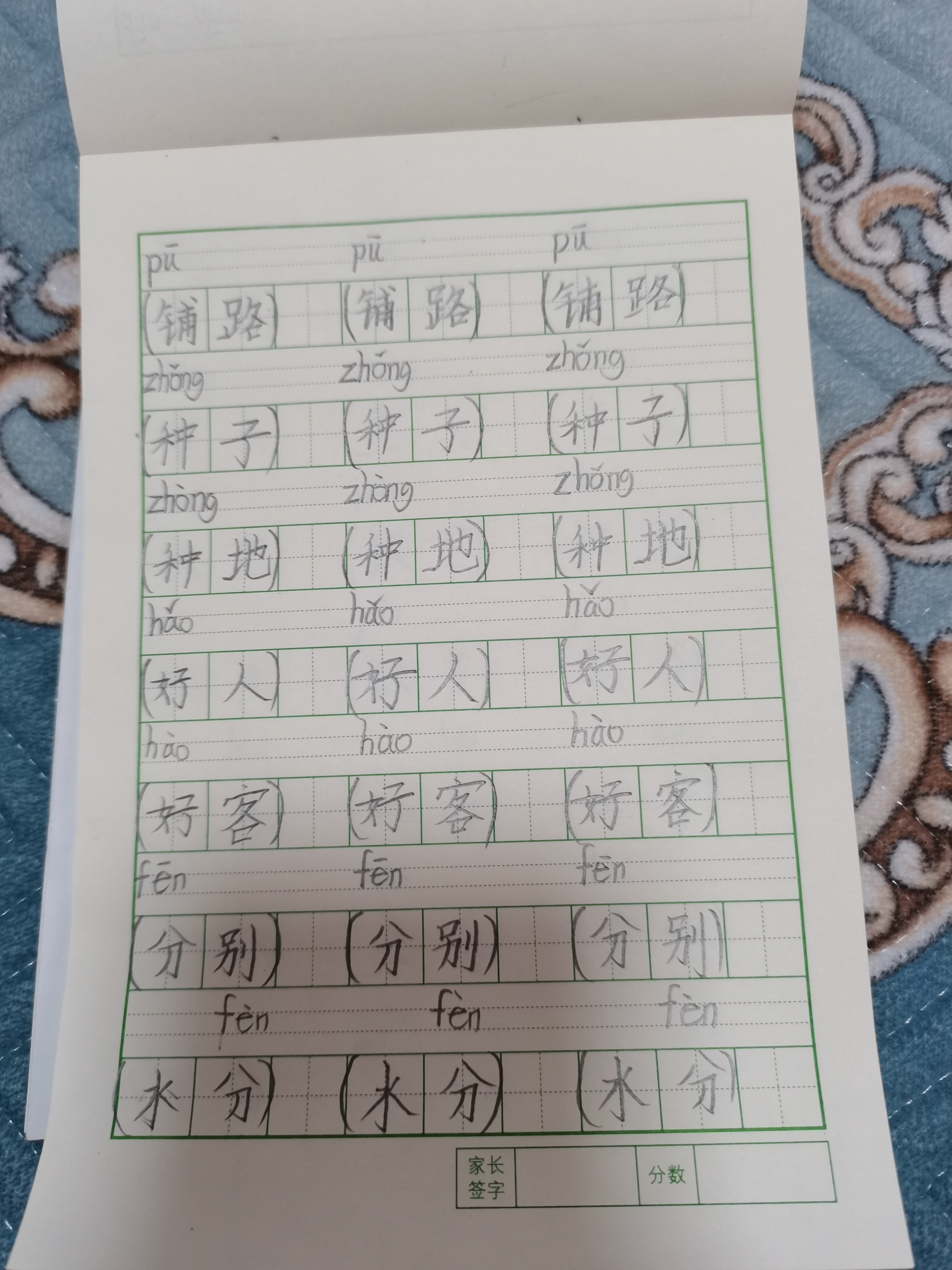 图像