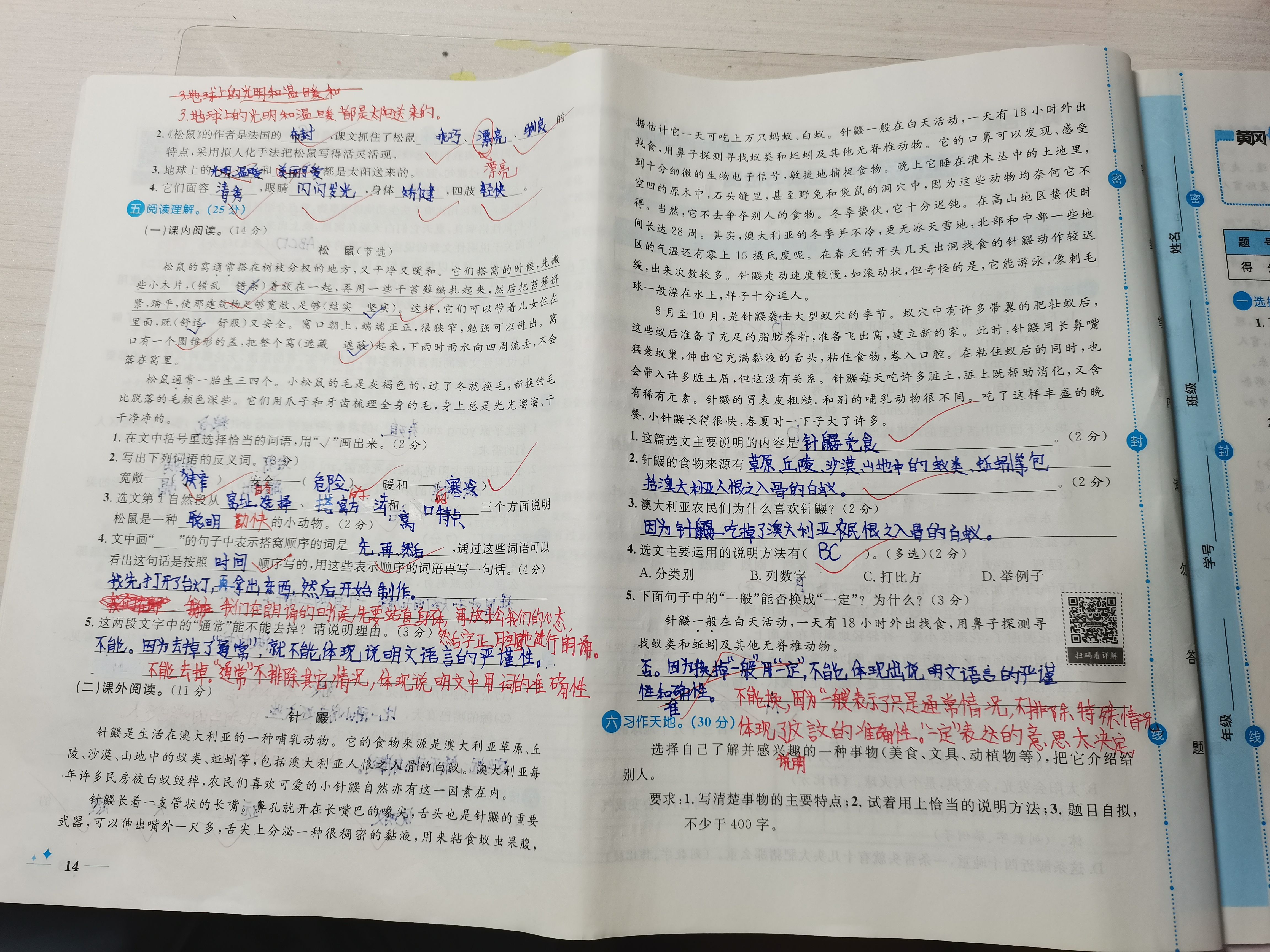 图像