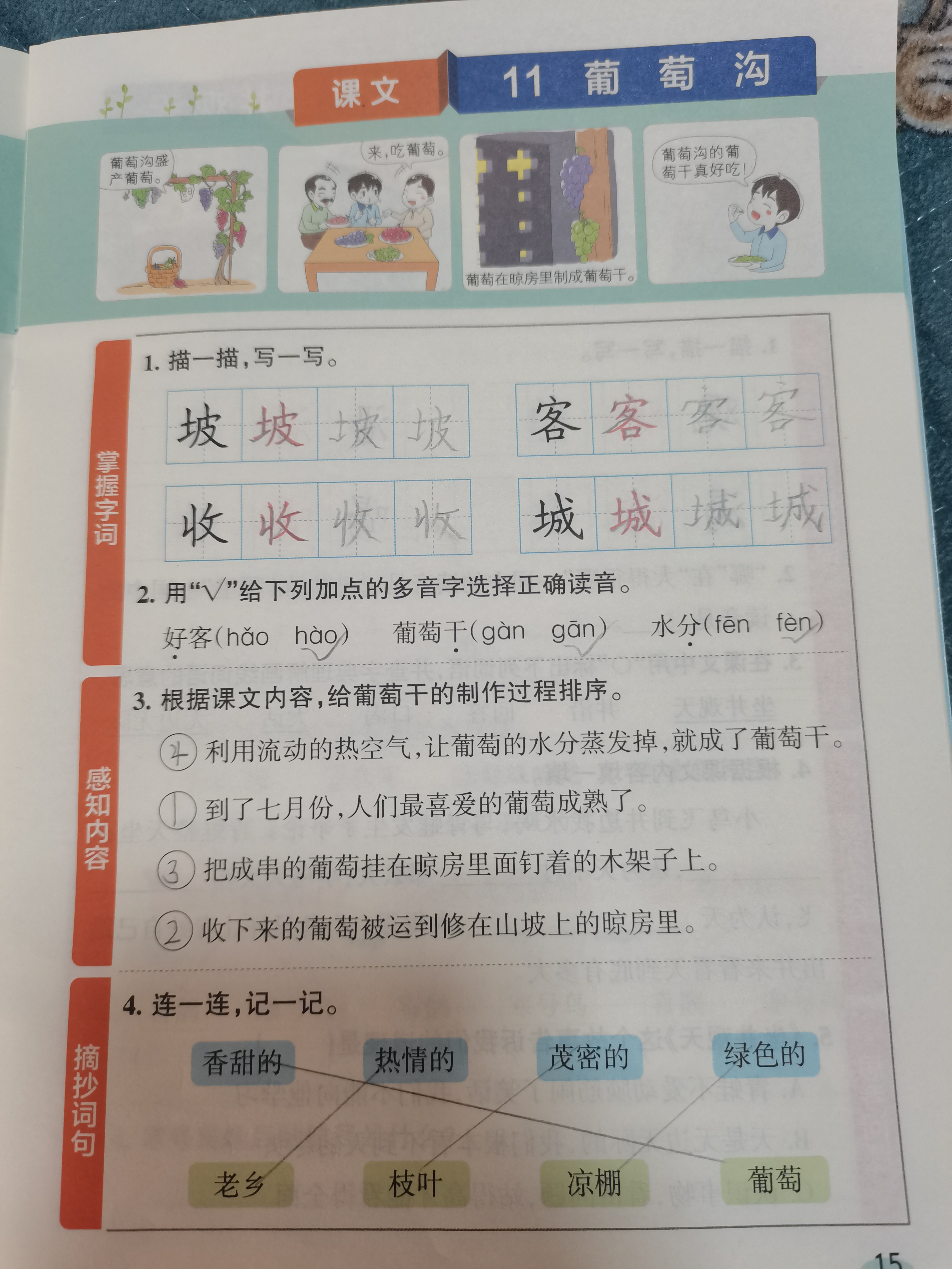 图像