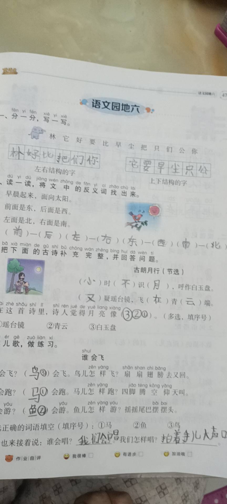图像