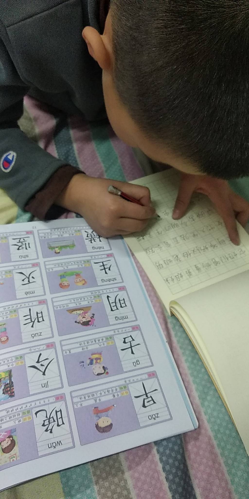 图像