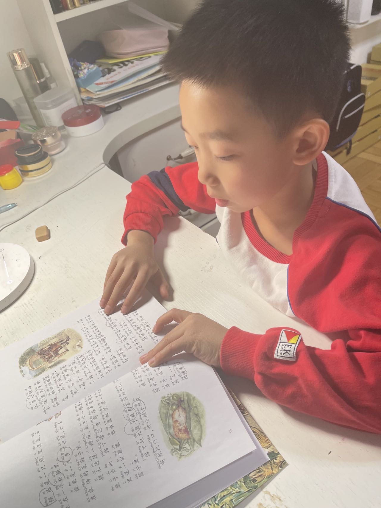 图像