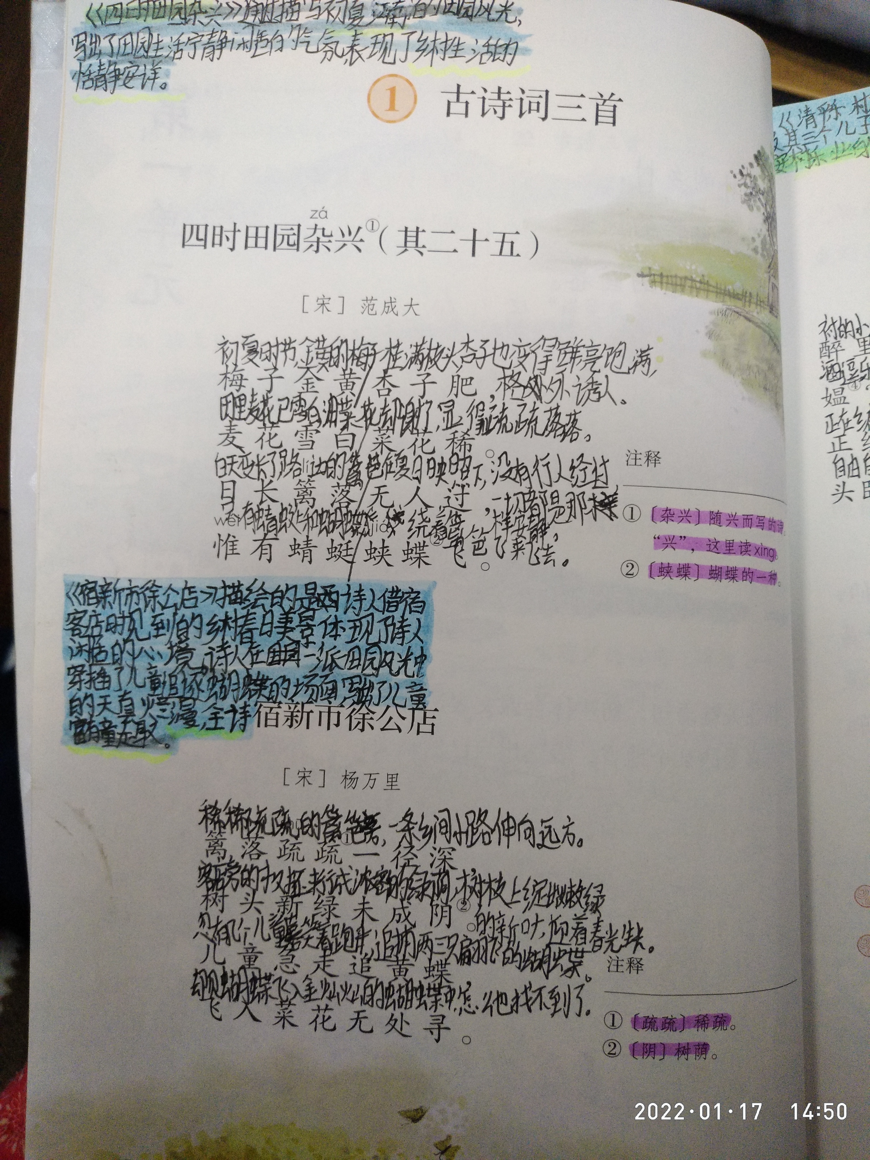 图像