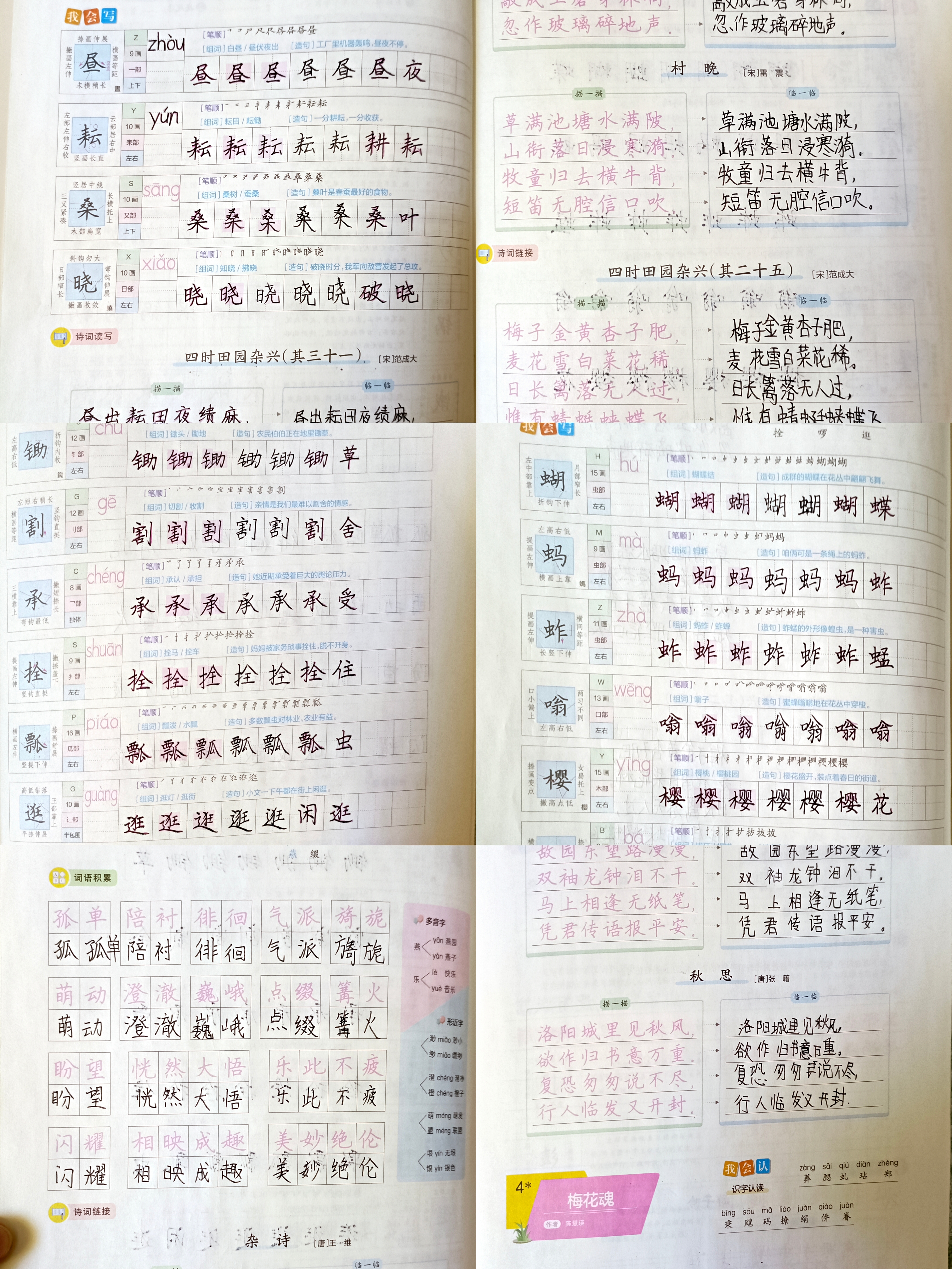 图像