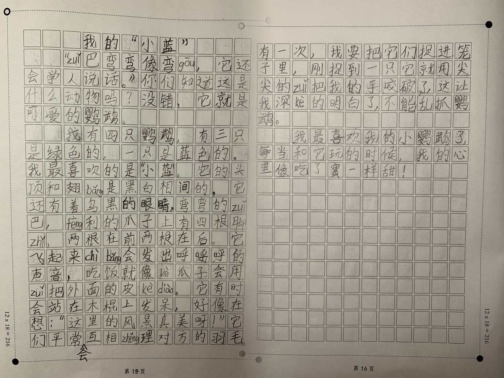 图像