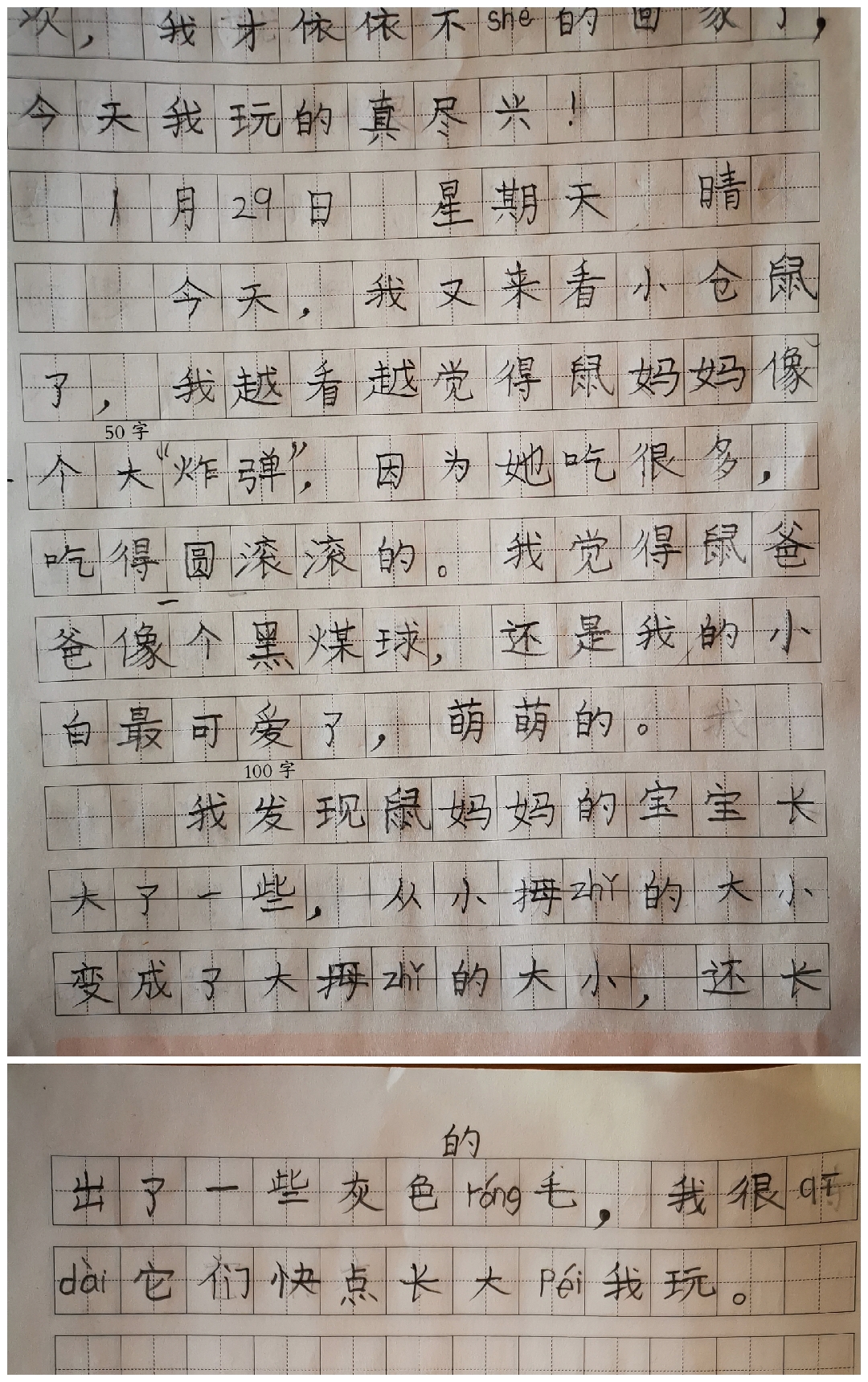 图像