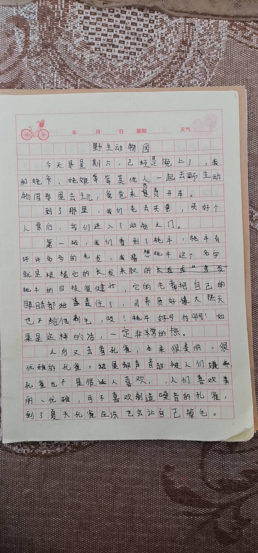 图像