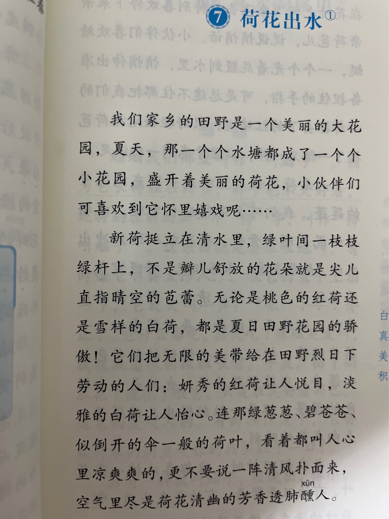 图像