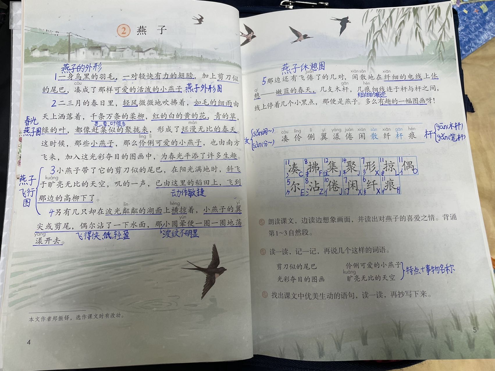 图像