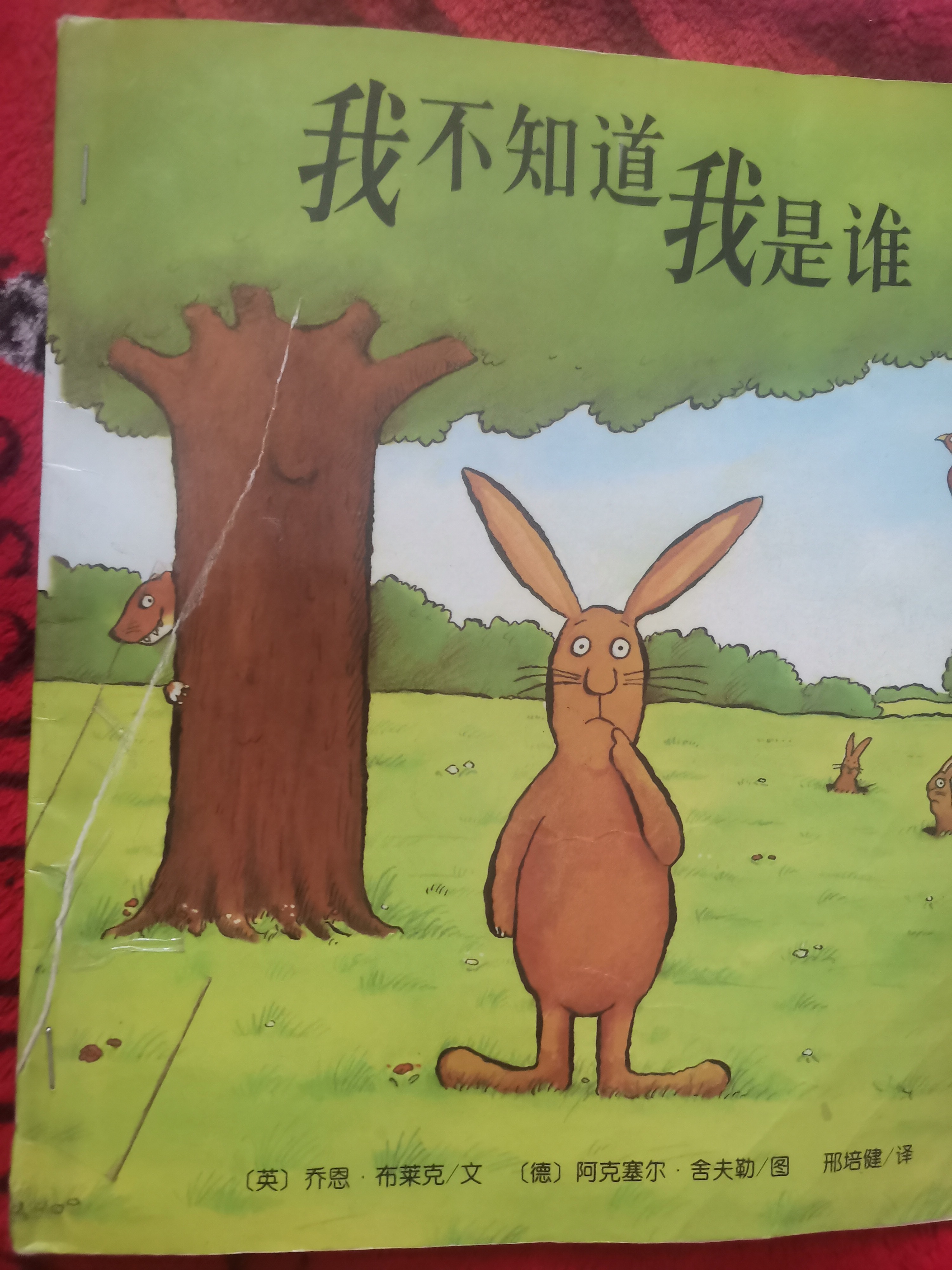 图像