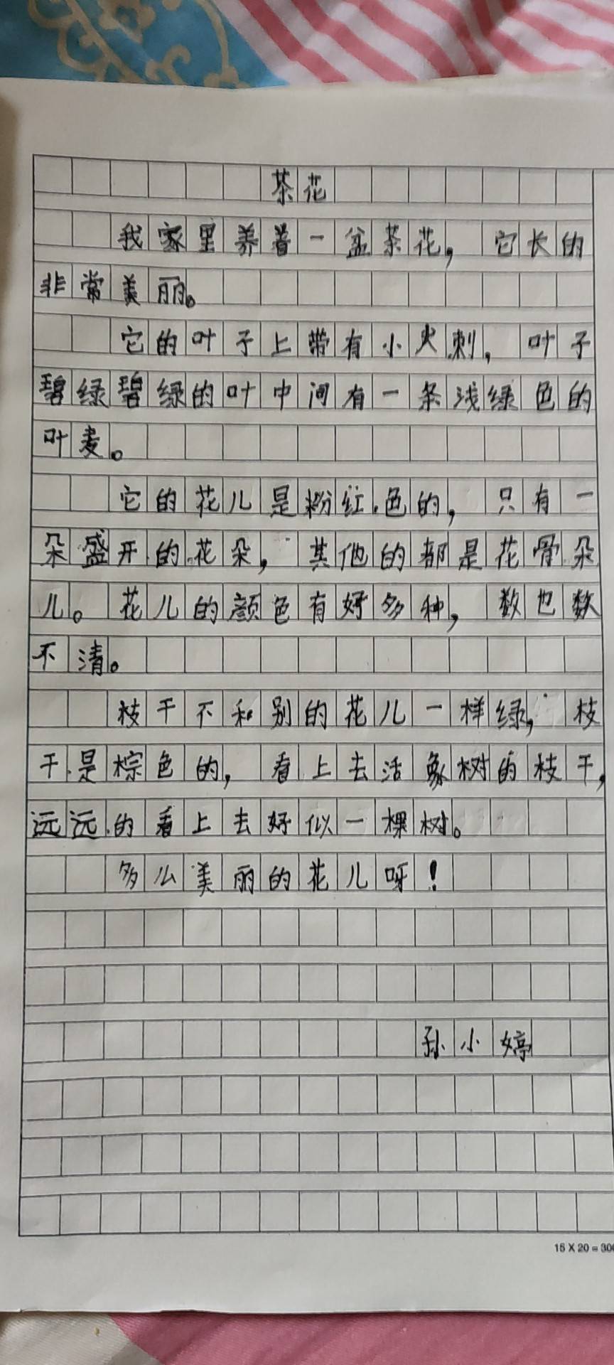 图像