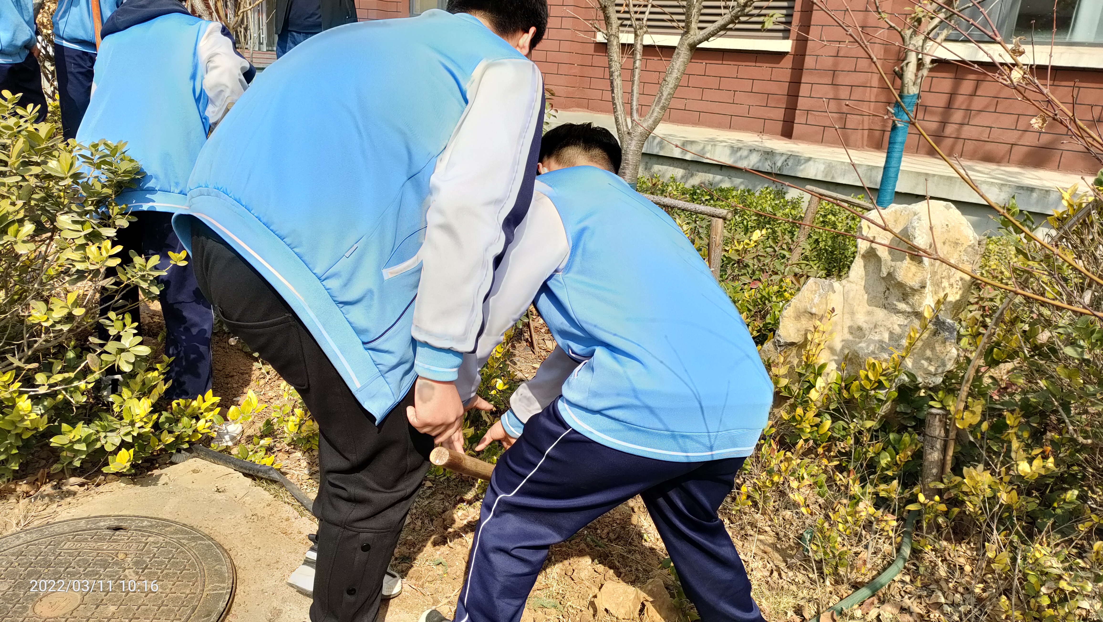 图像