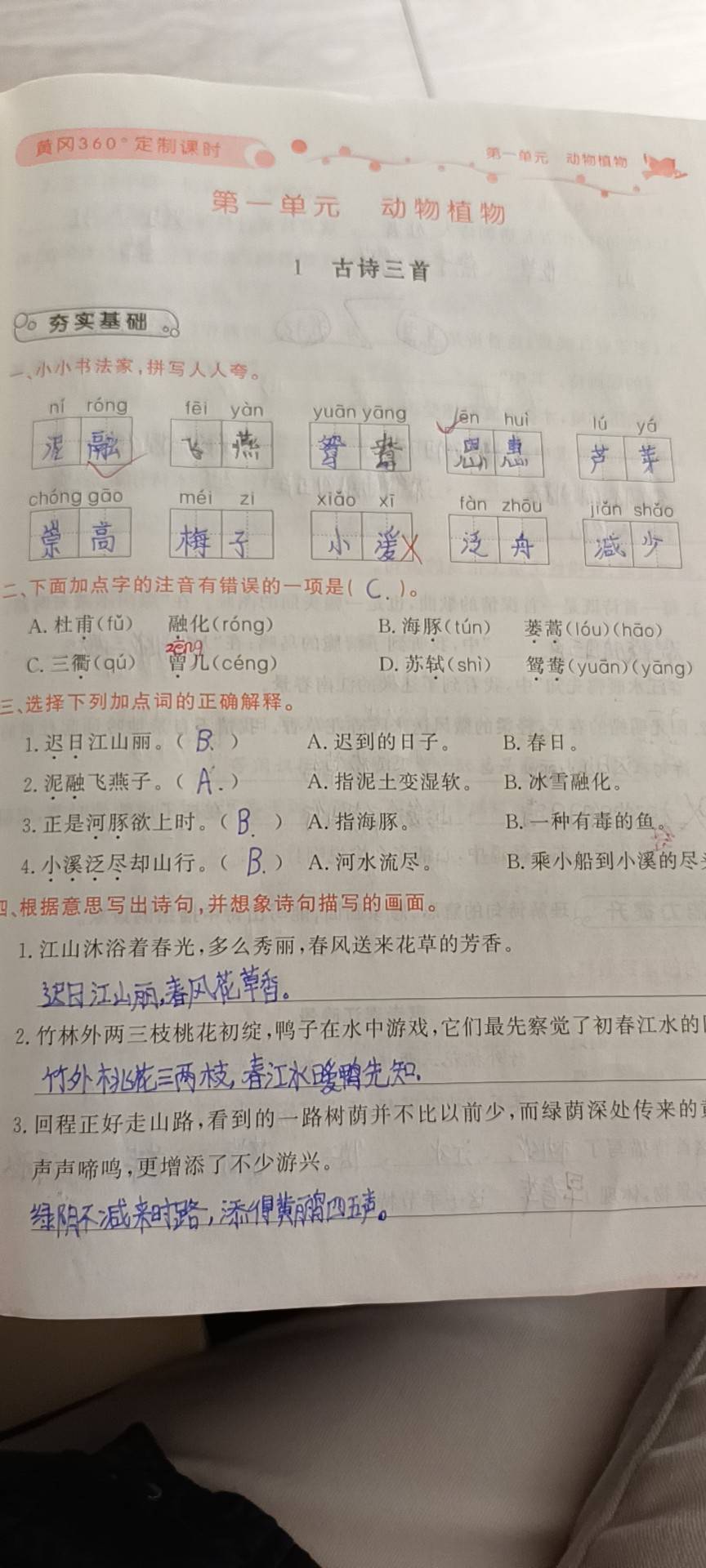 图像