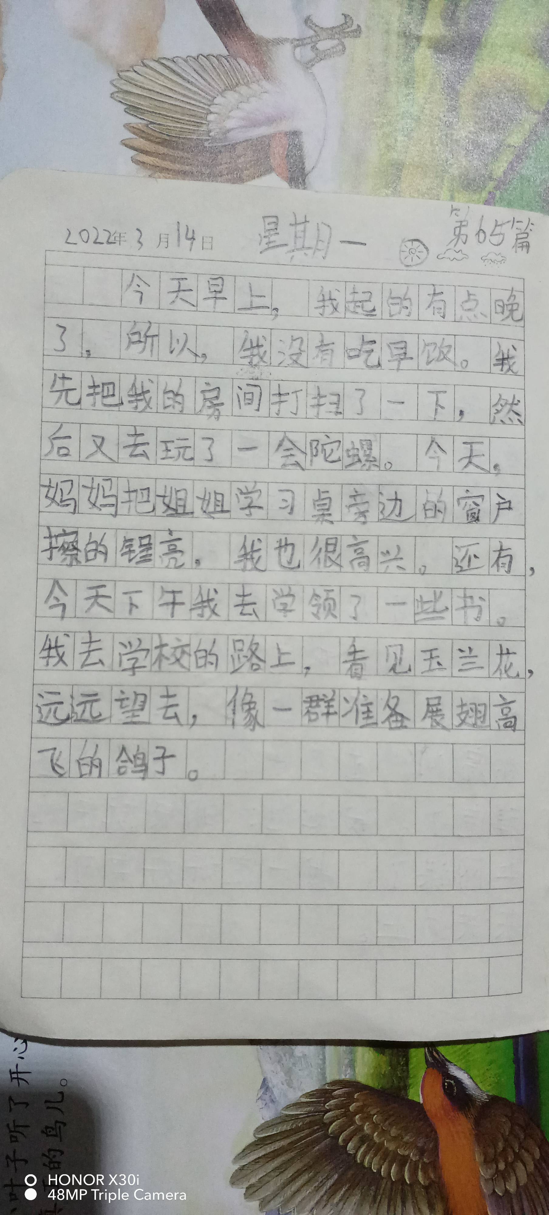 图像