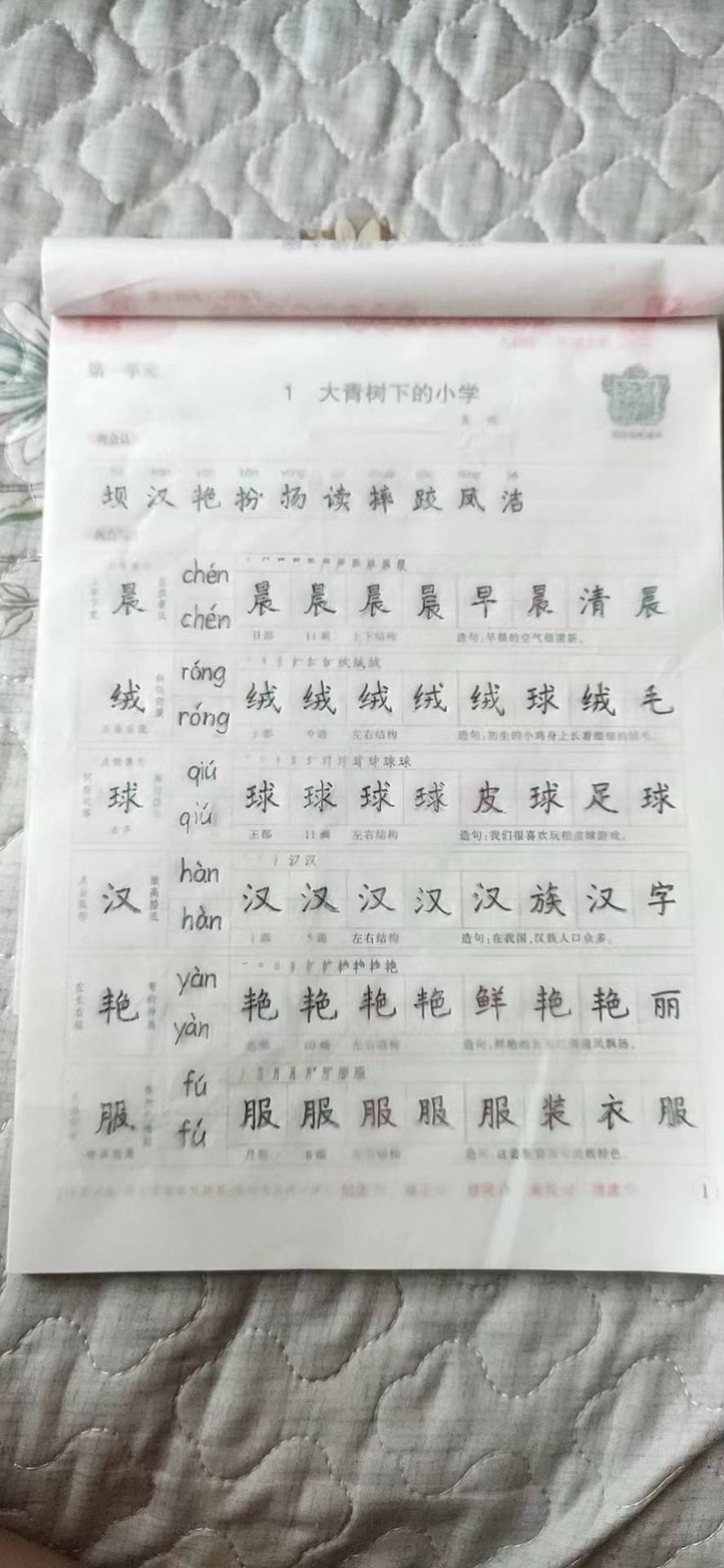 图像