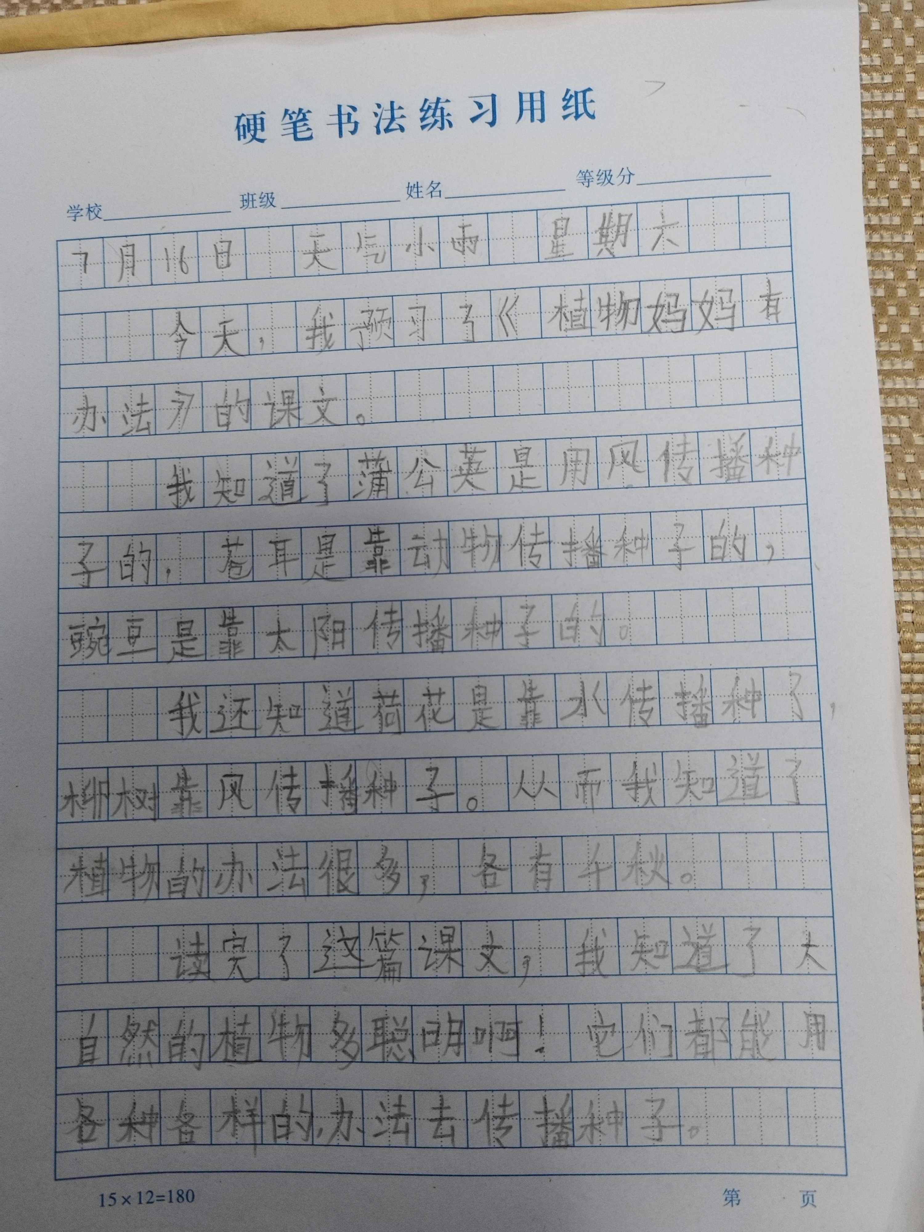 图像