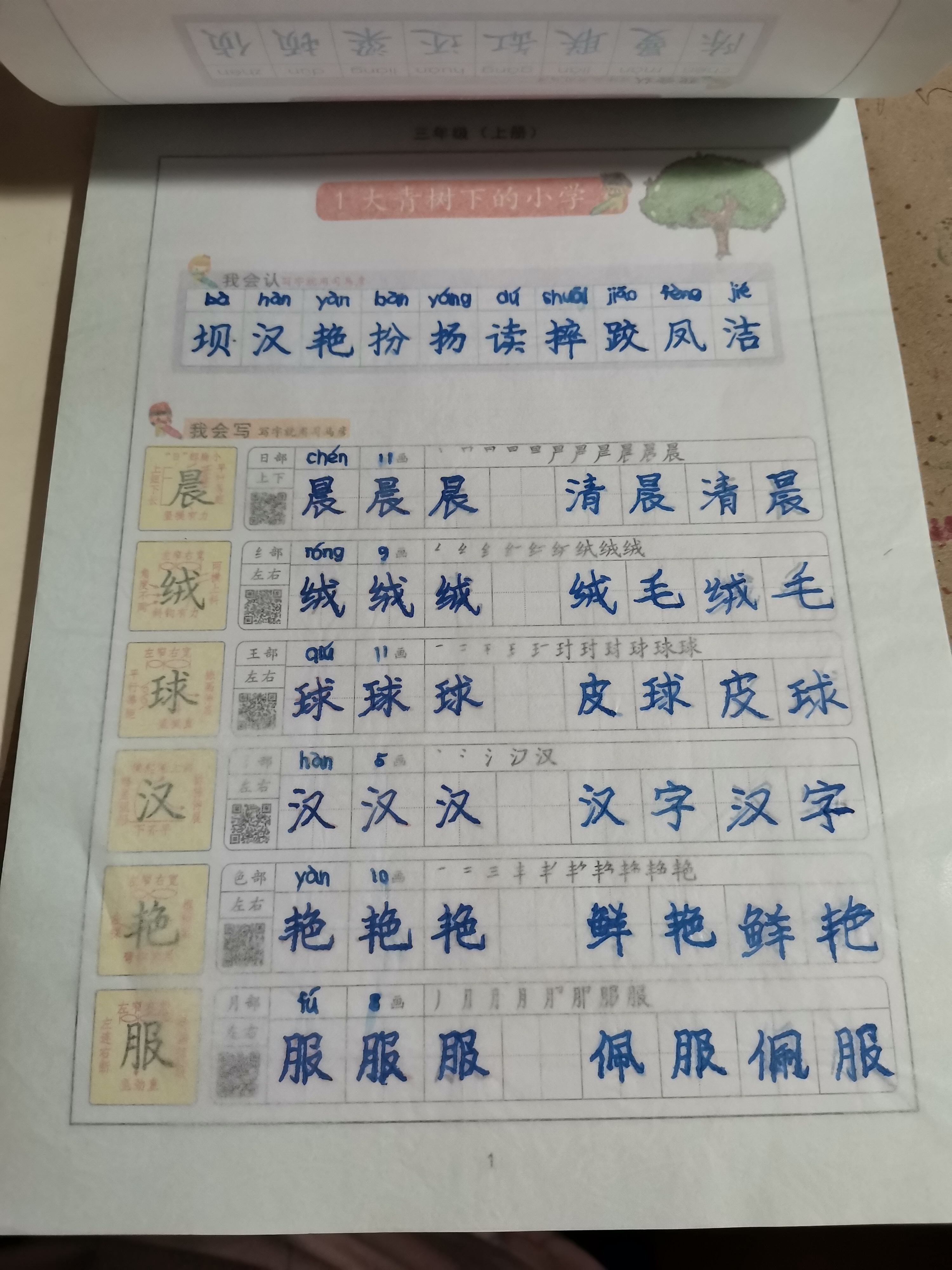 图像