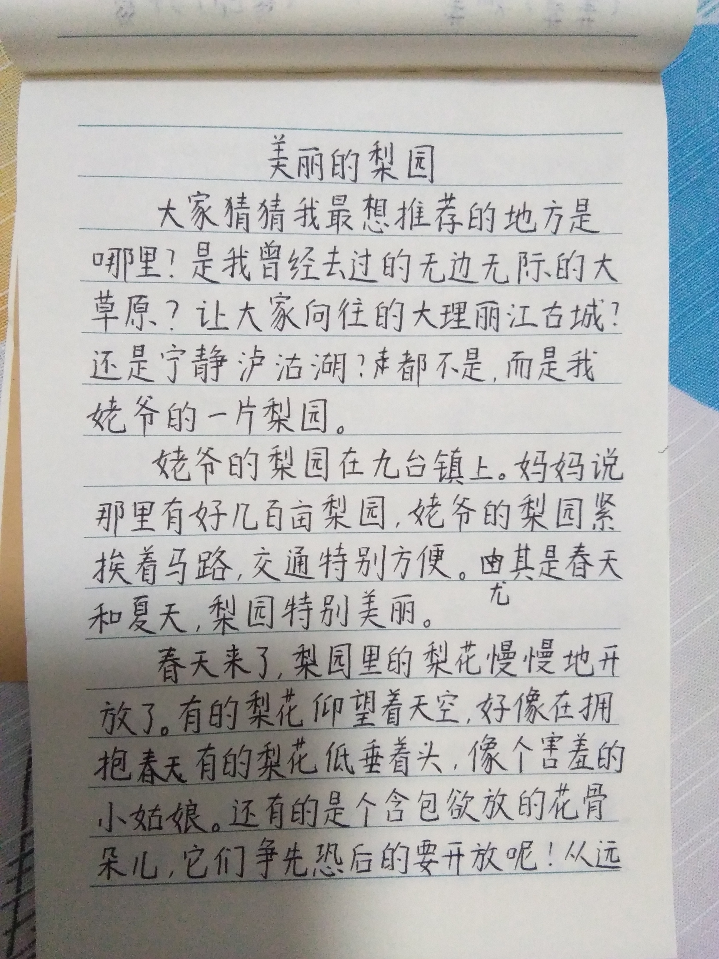 图像