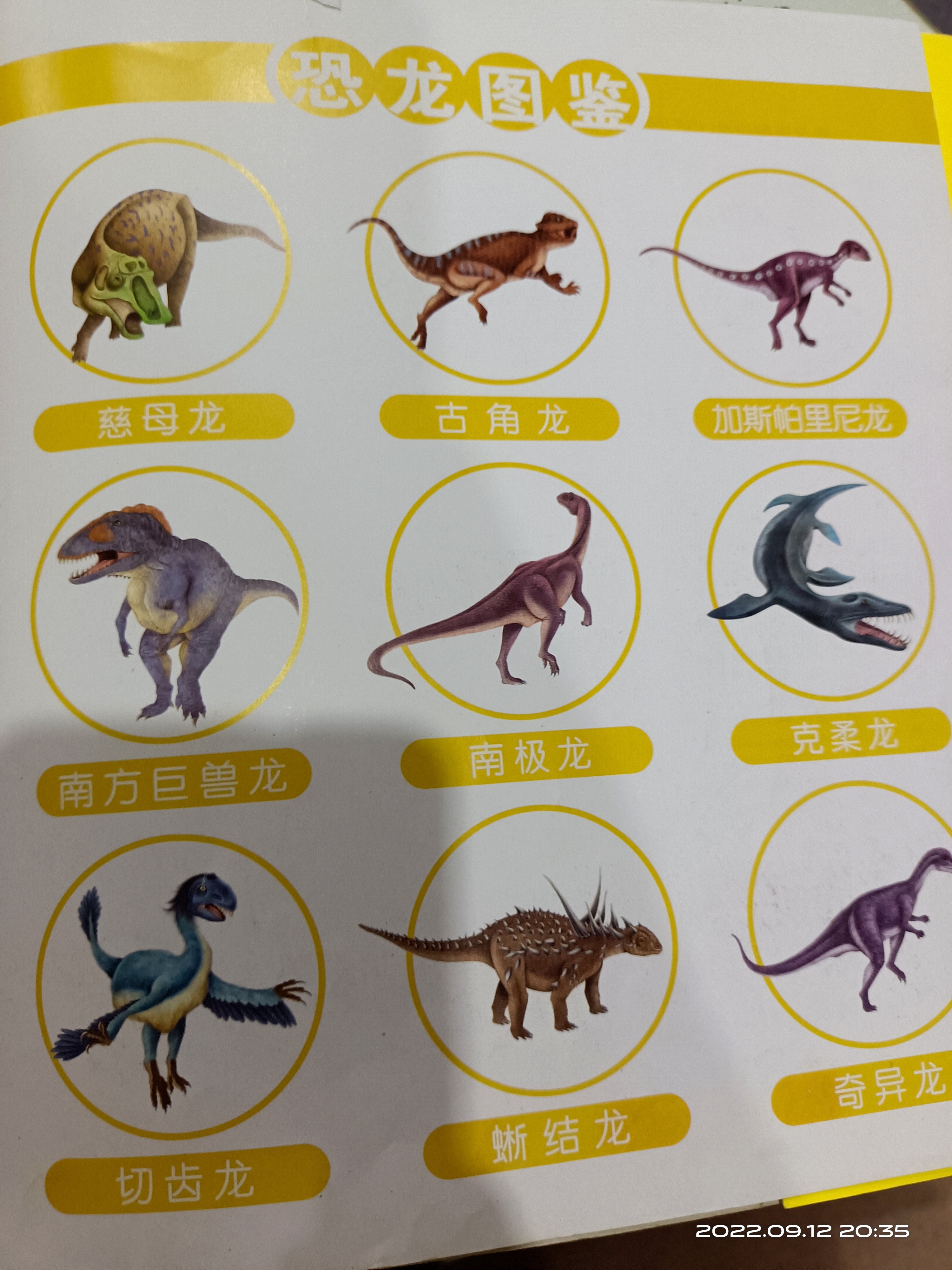 图像