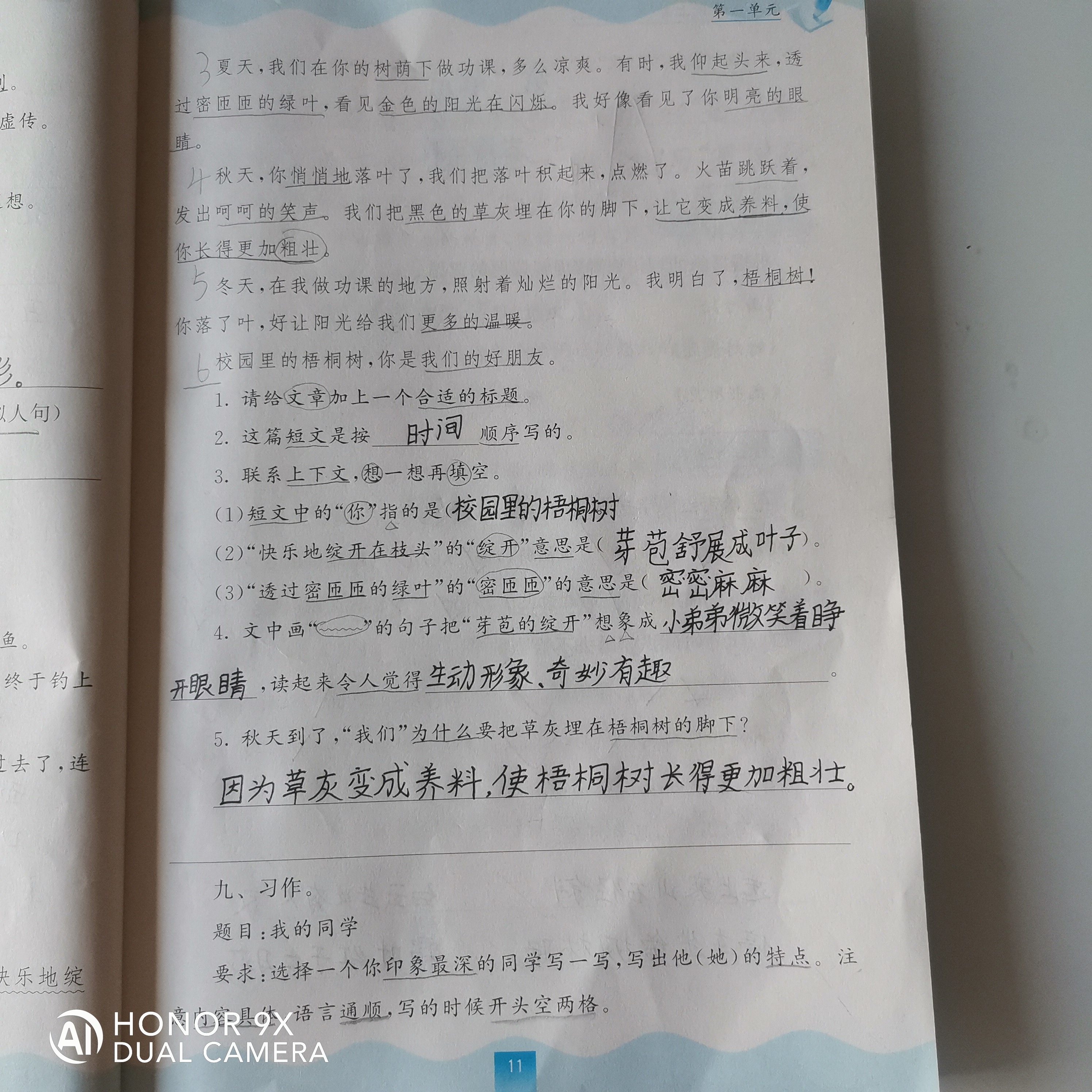图像