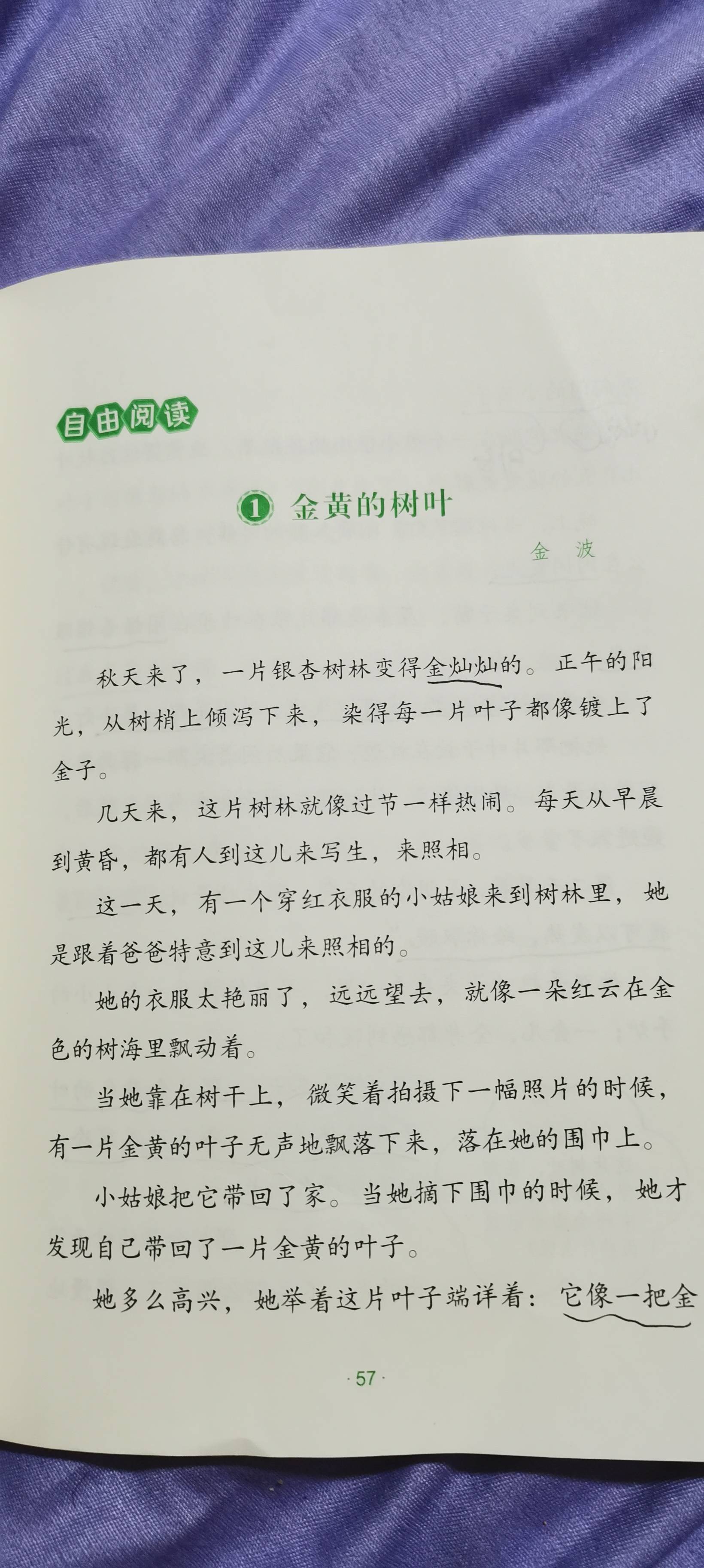 图像