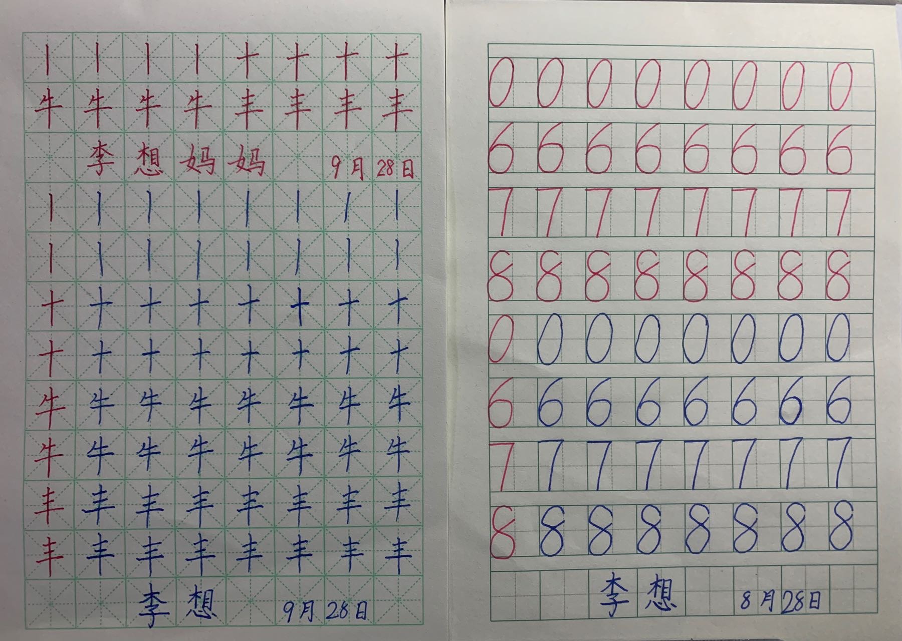 图像