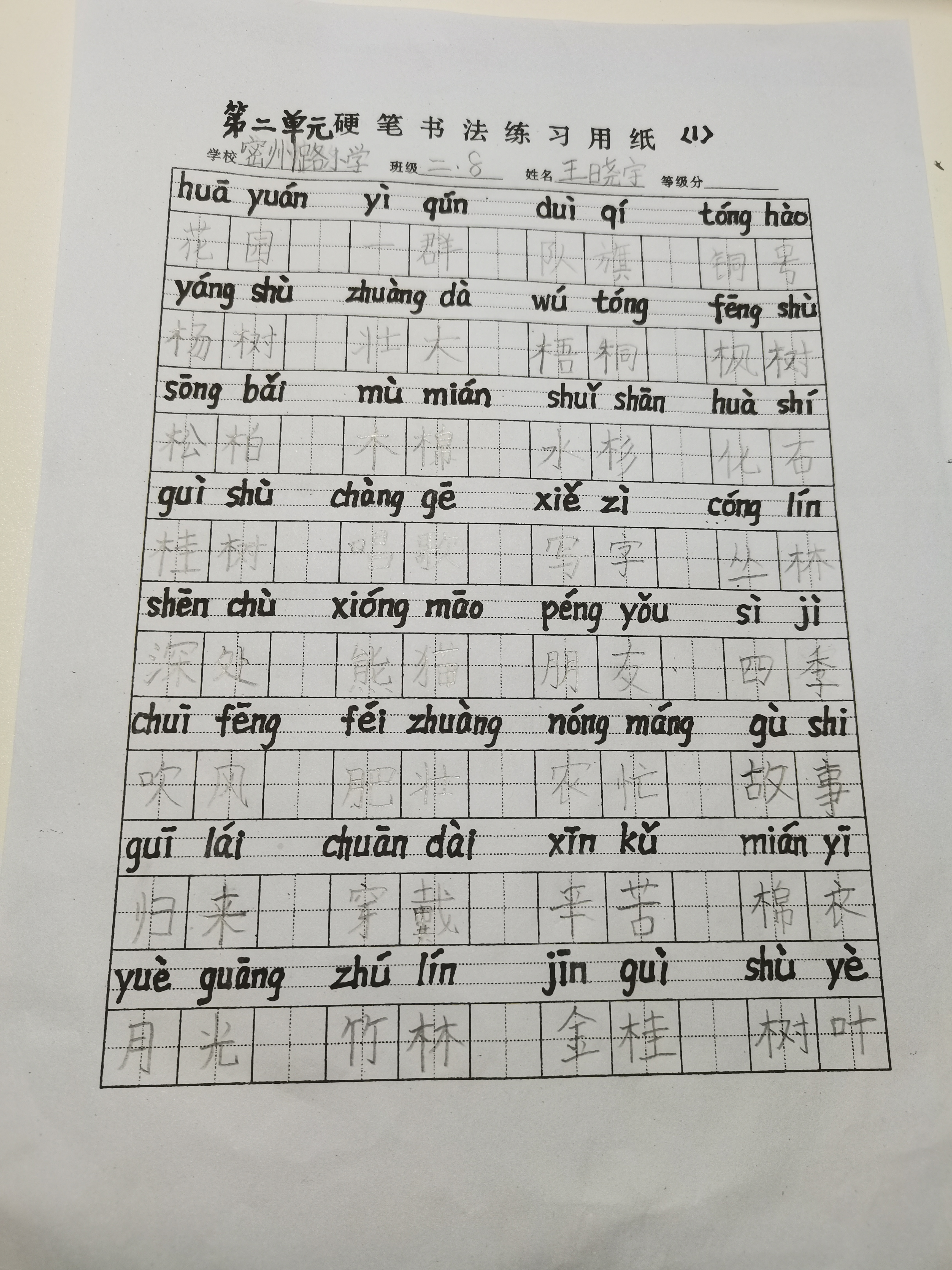 图像