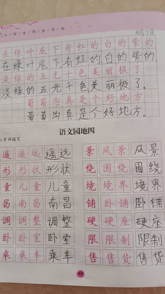 图像