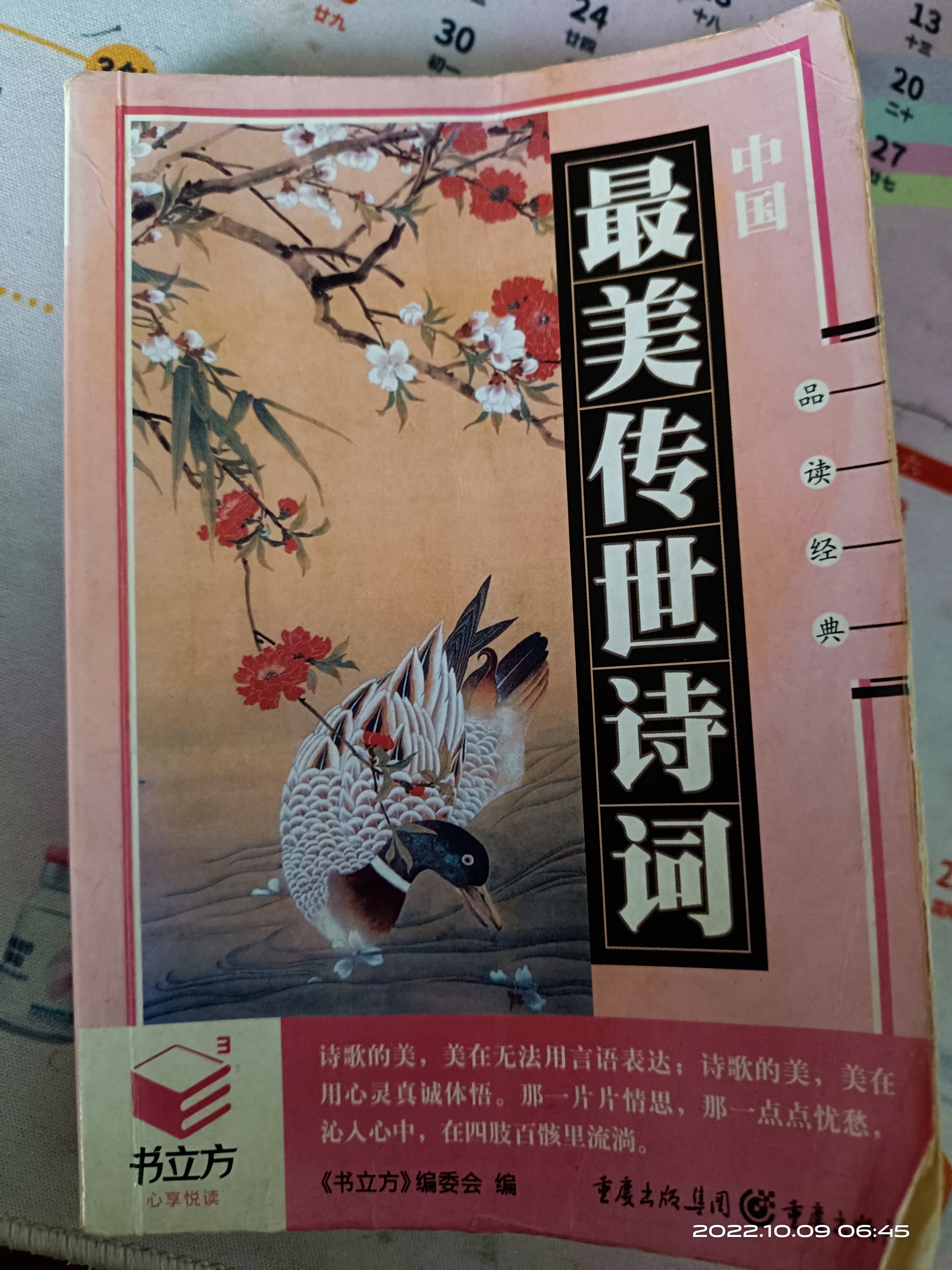 图像