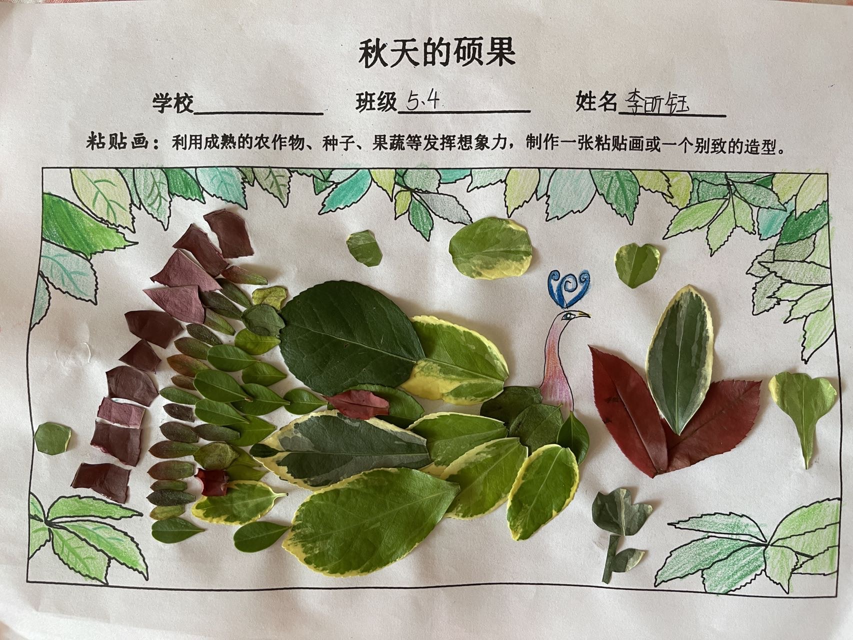 图像