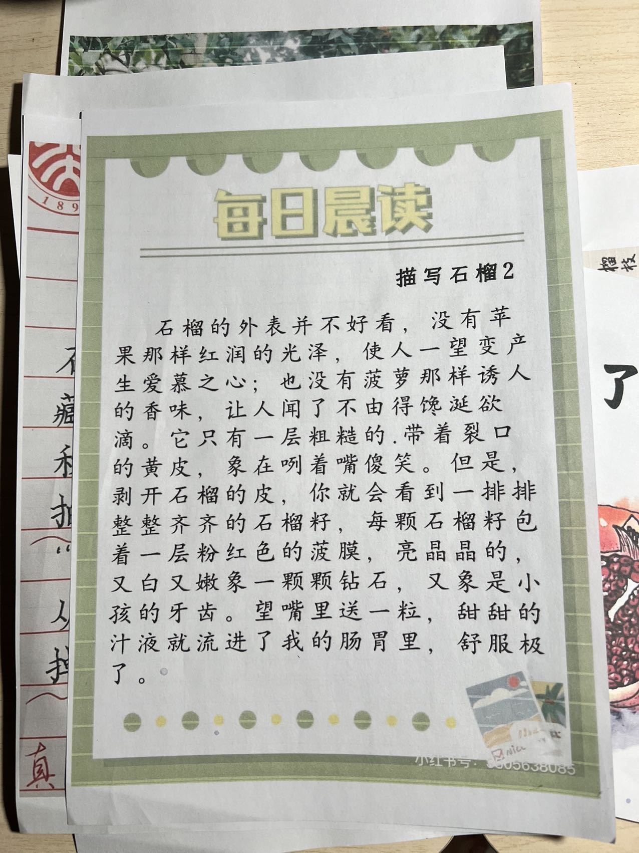 图像