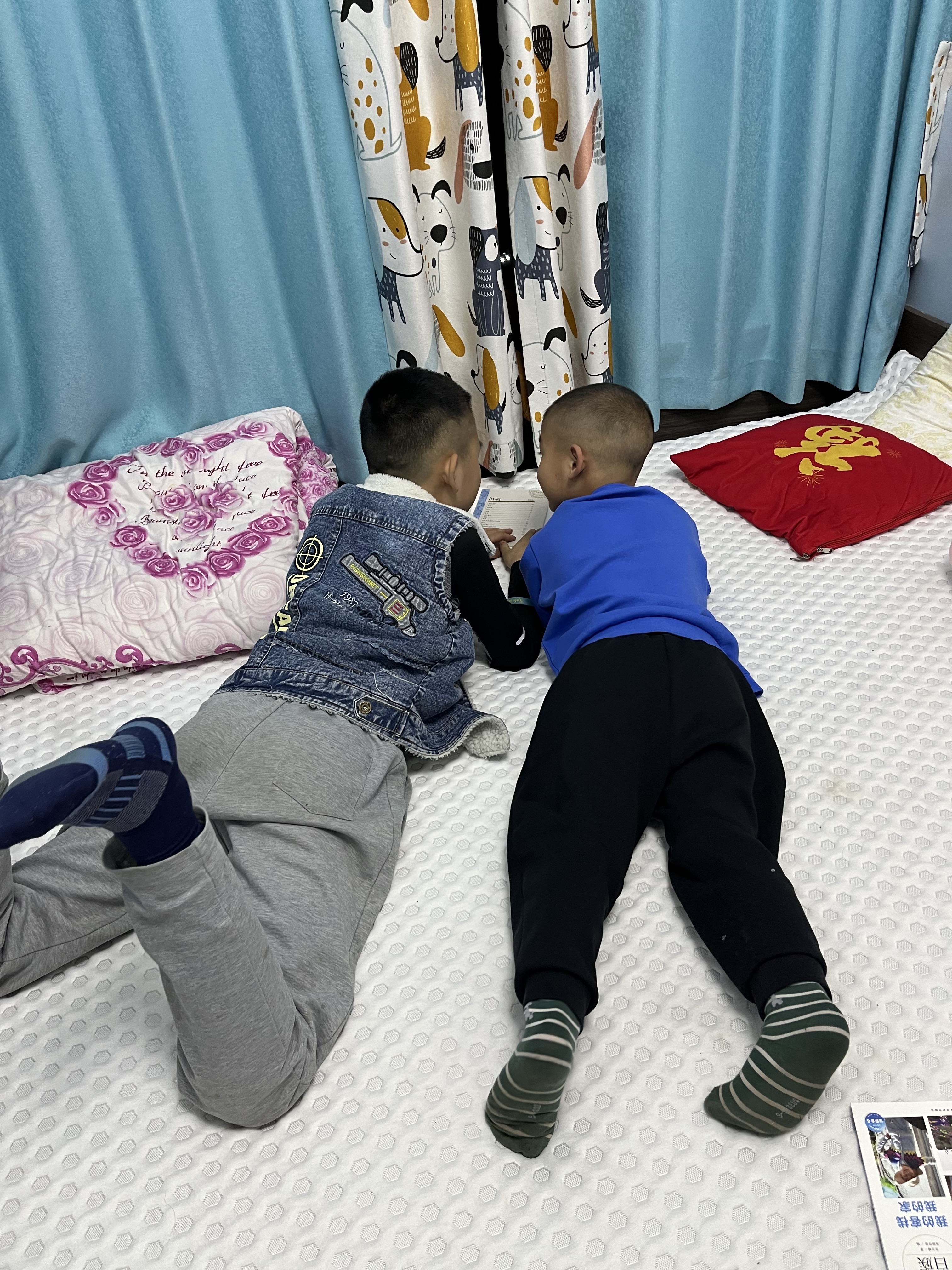 图像