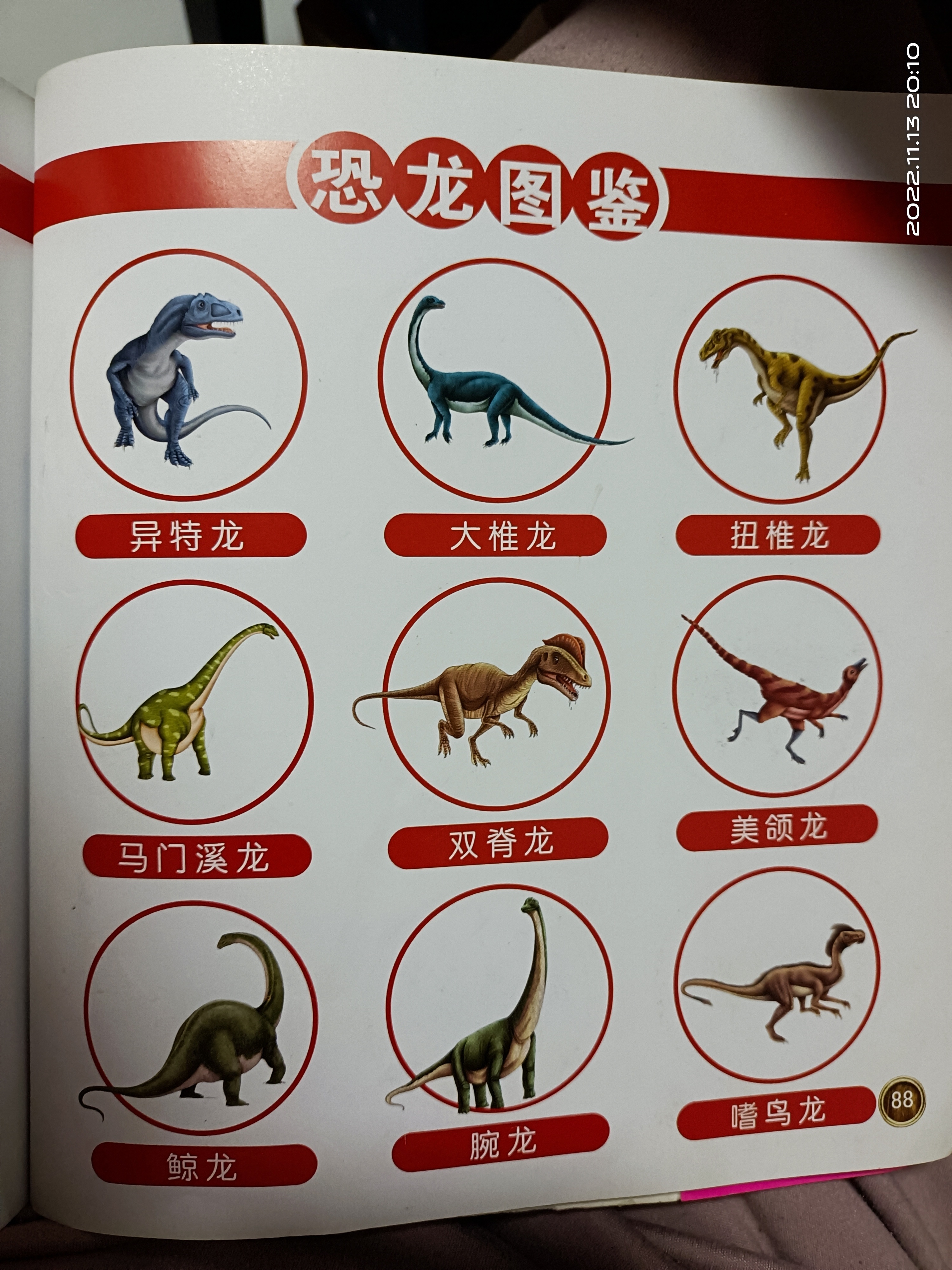 图像