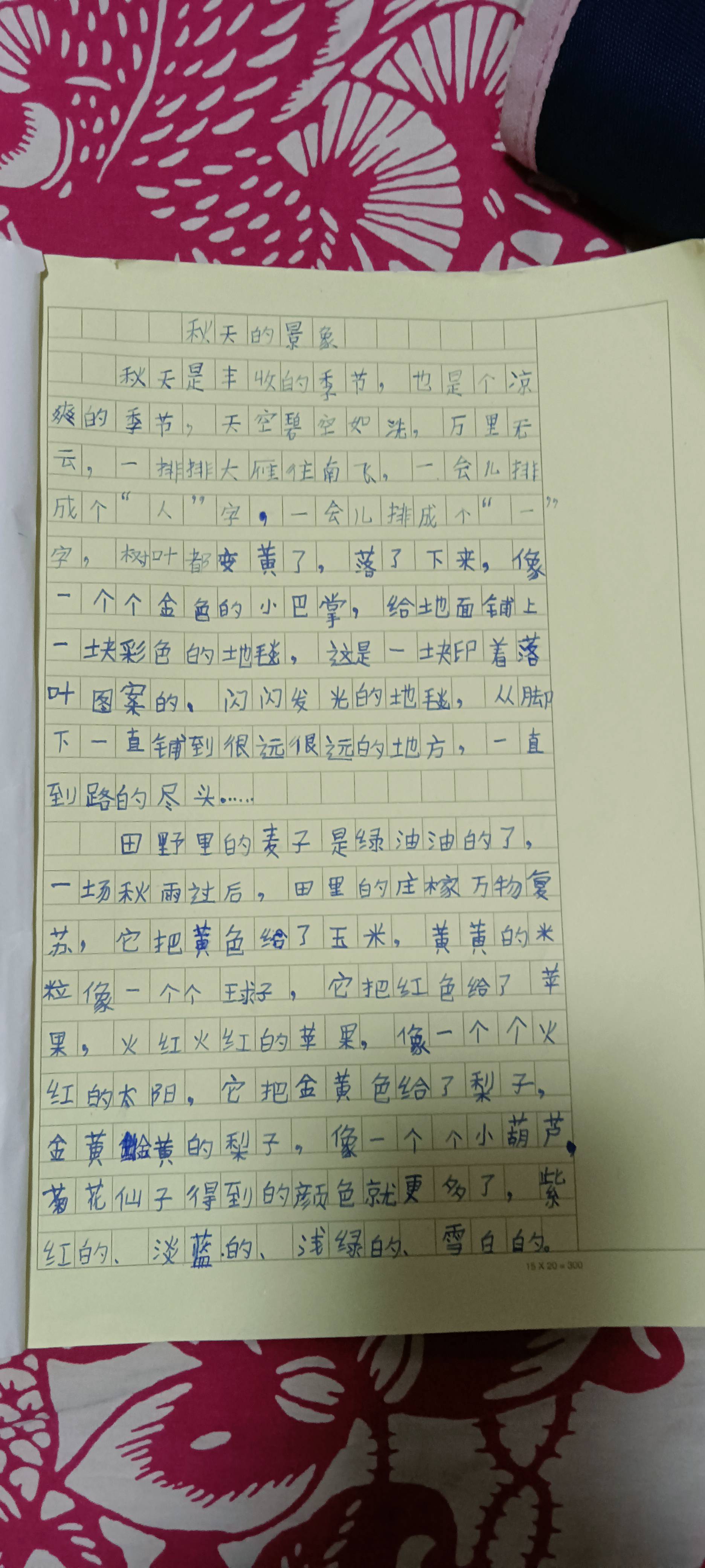 图像