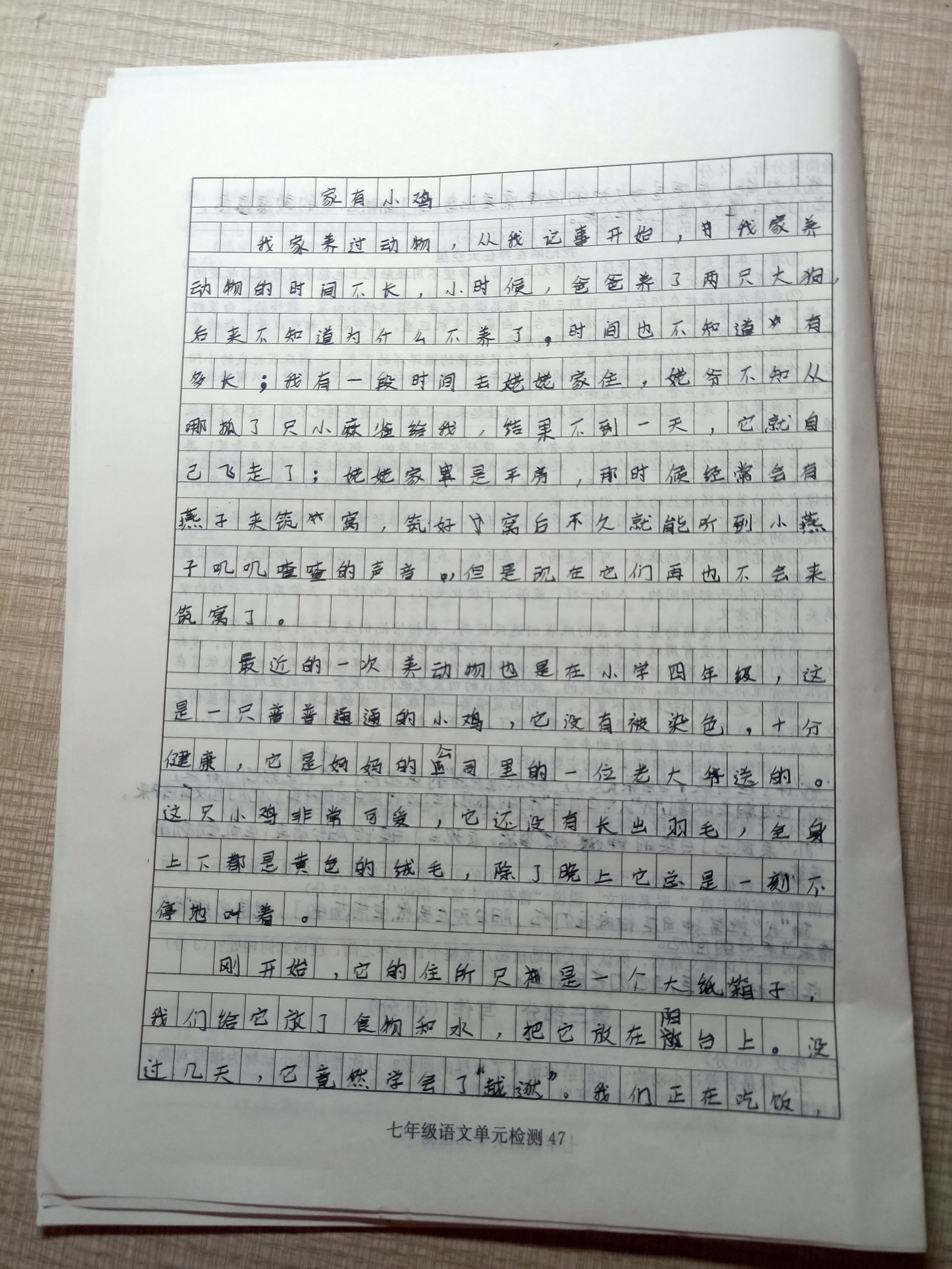图像