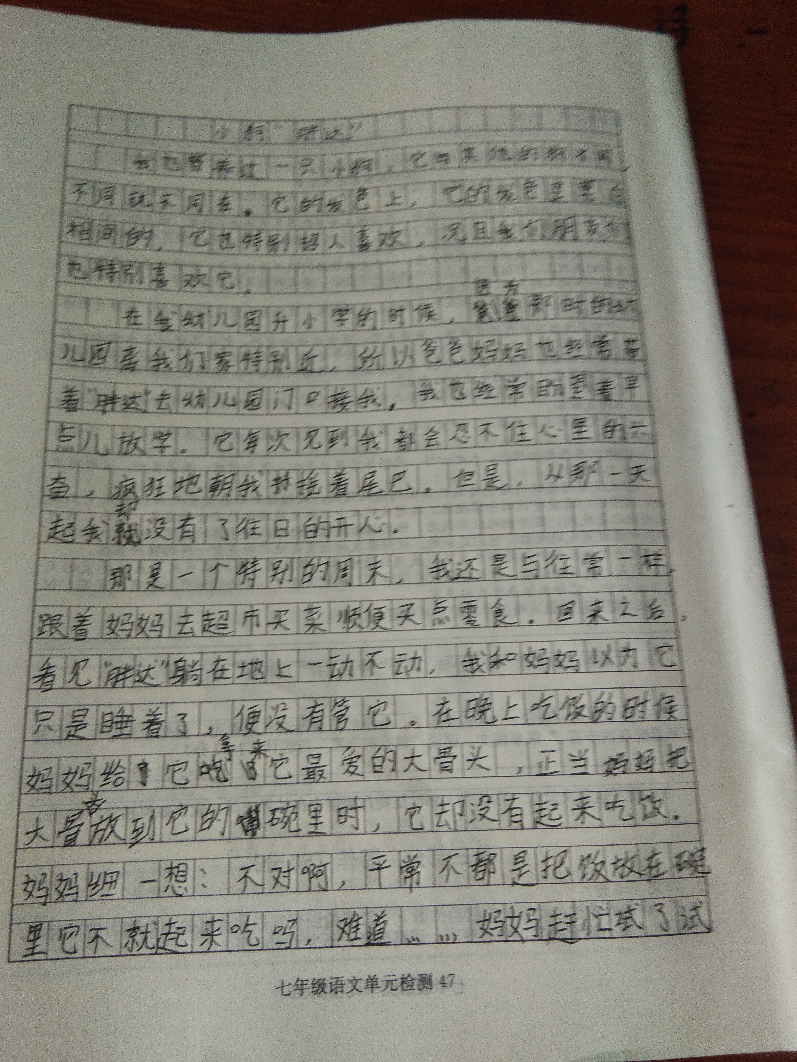 图像