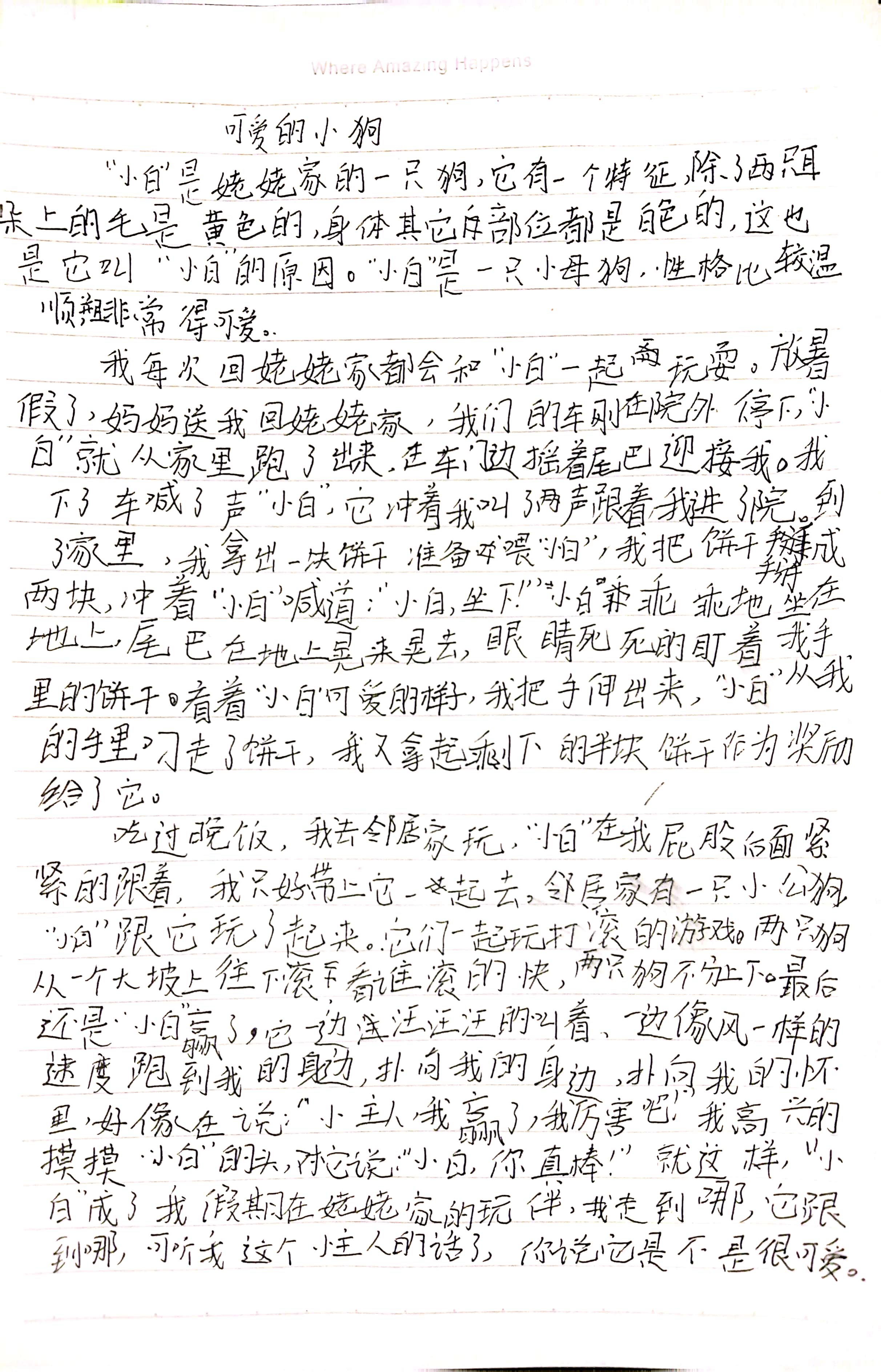 图像