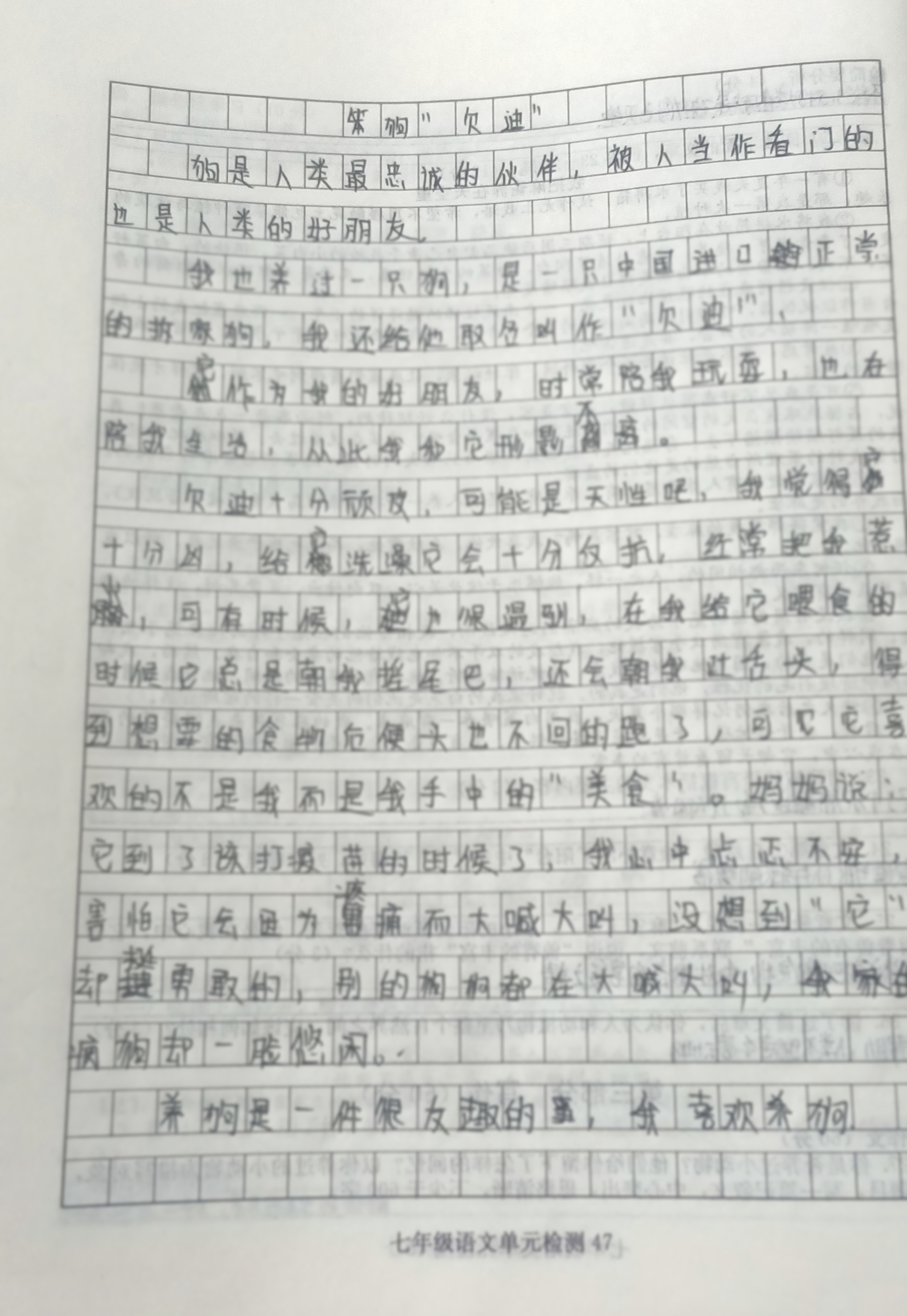 图像