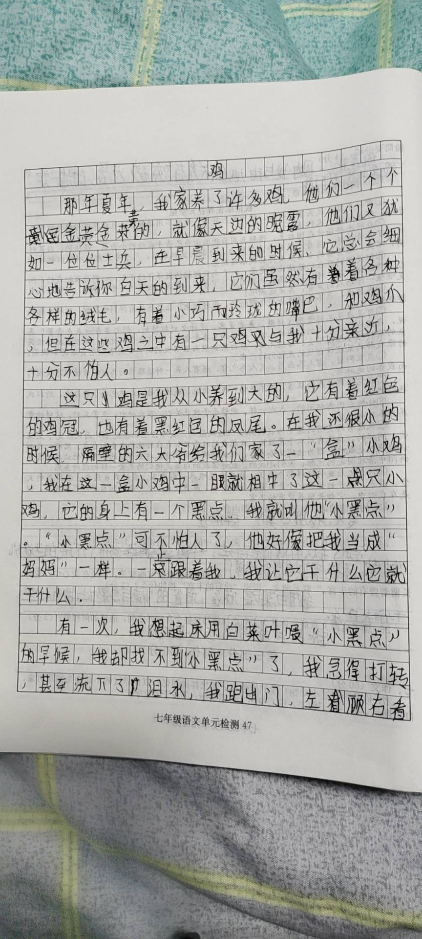 图像