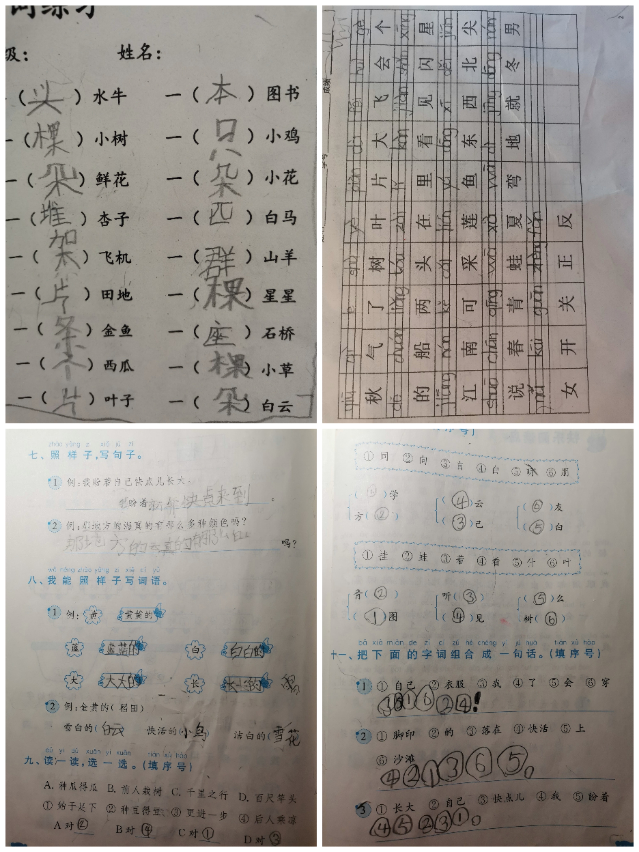 图像