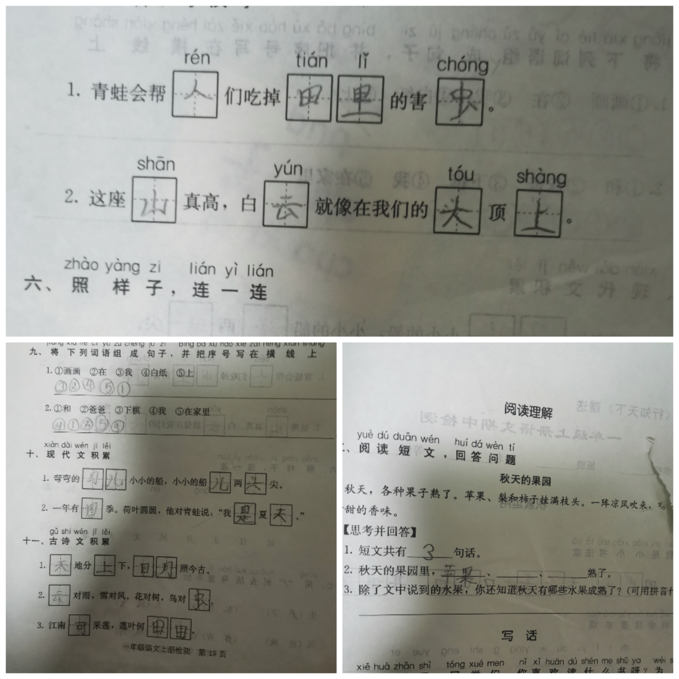 图像