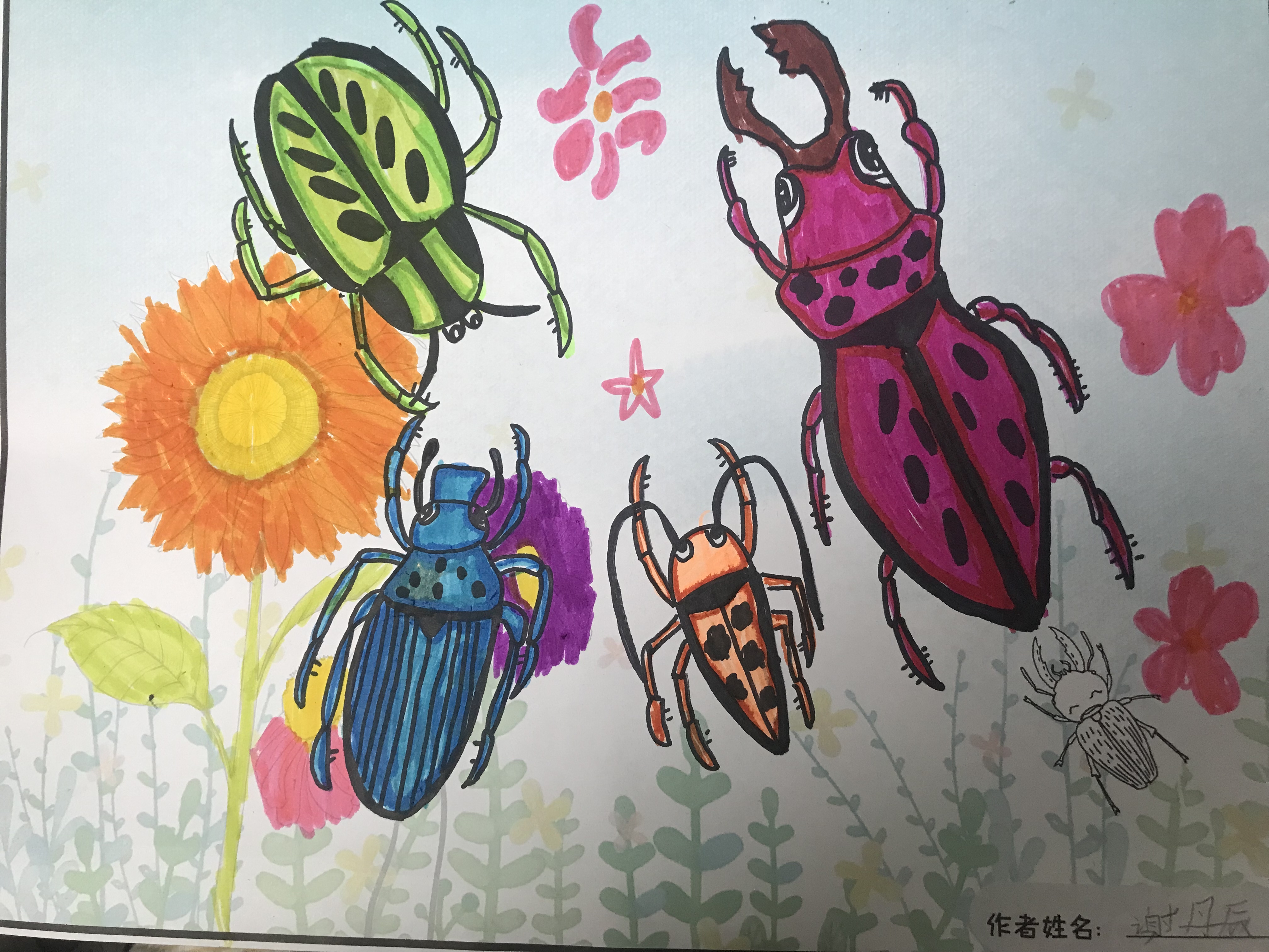 图像